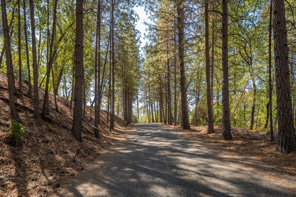 main property photo 63