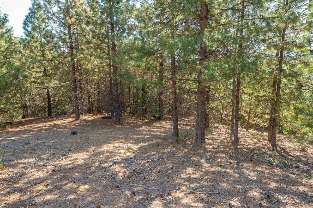 main property photo 64