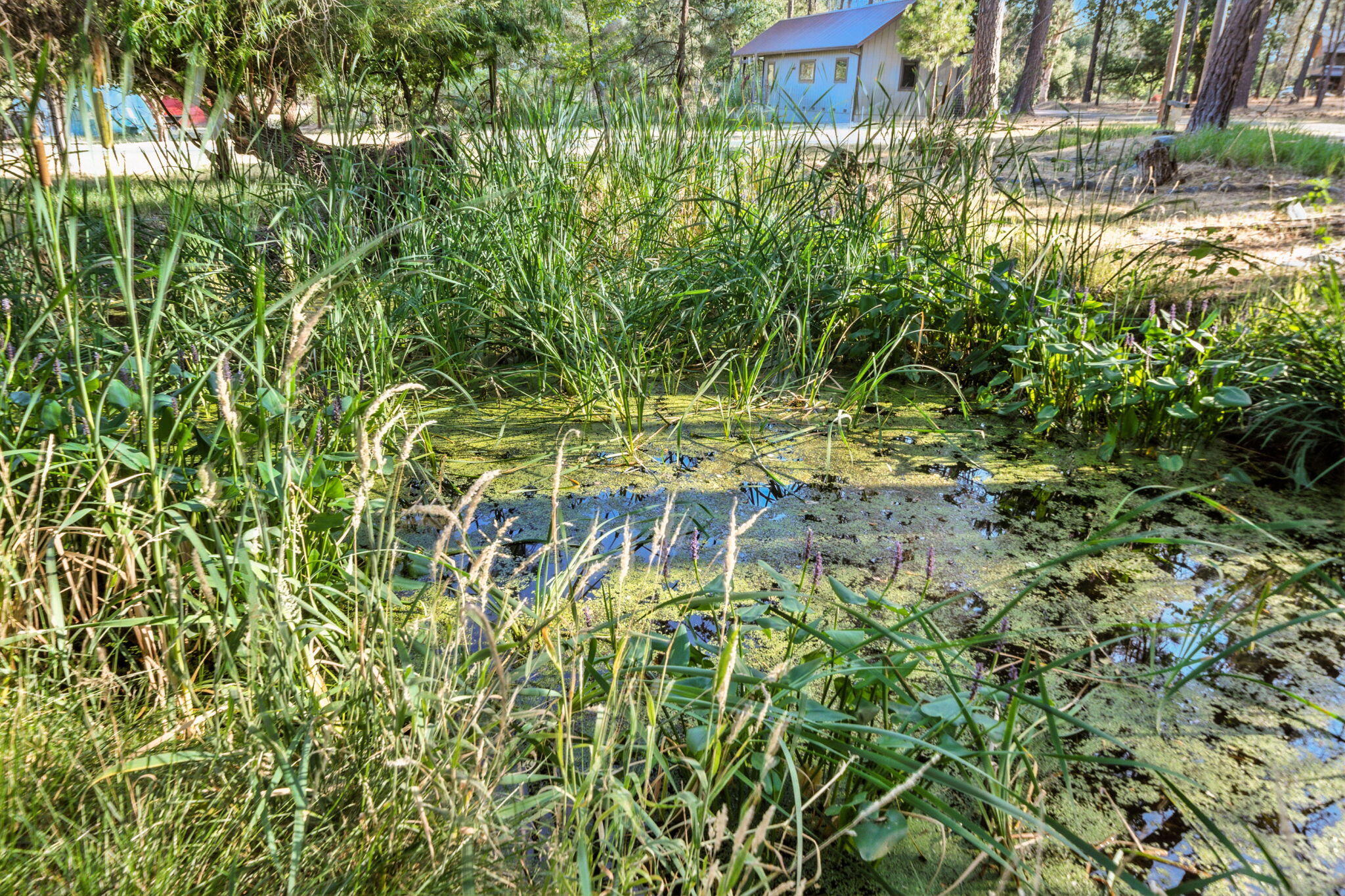main property photo 58