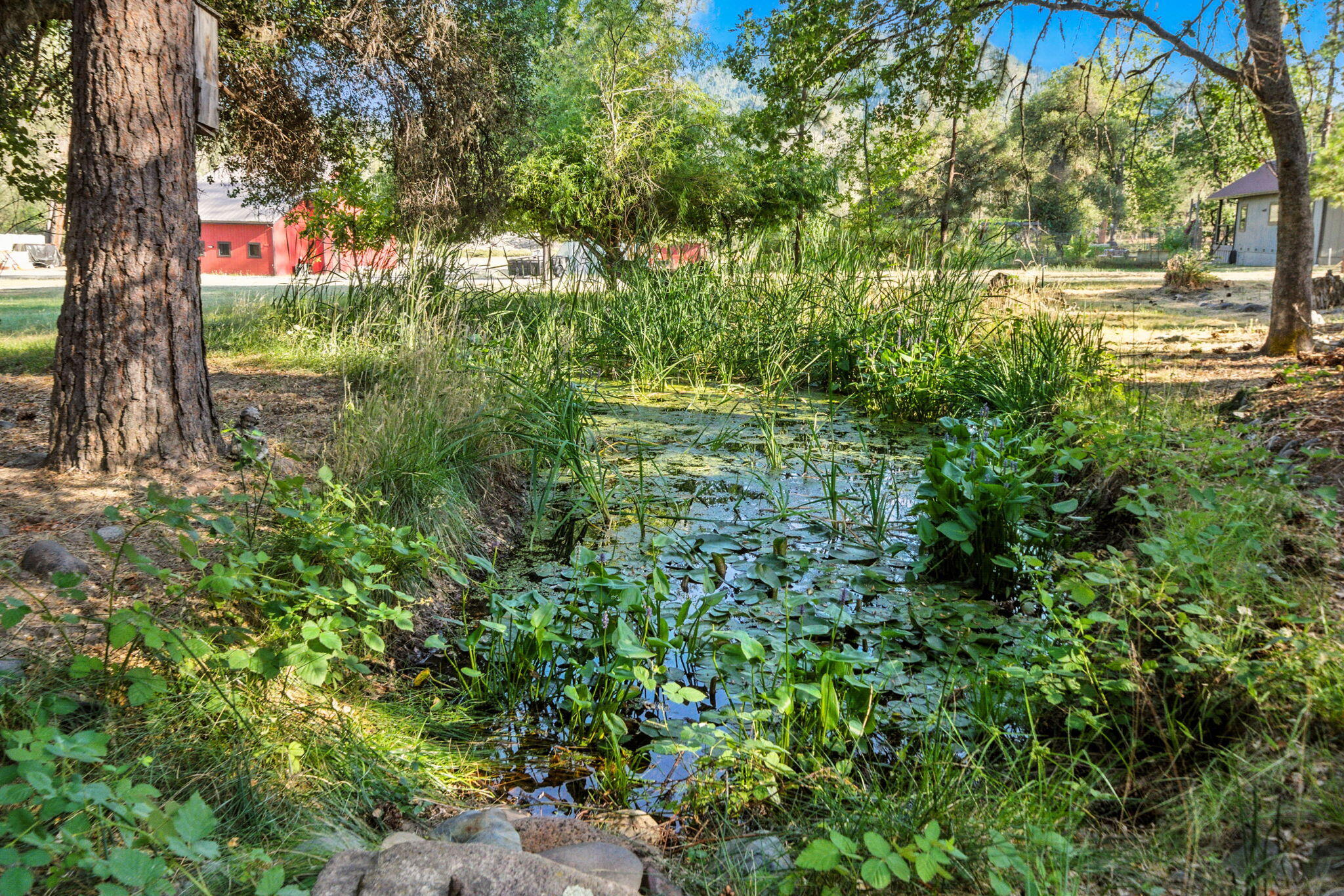 main property photo 59