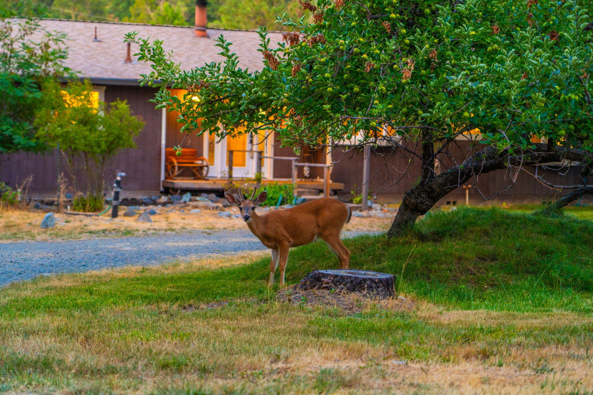 main property photo 87