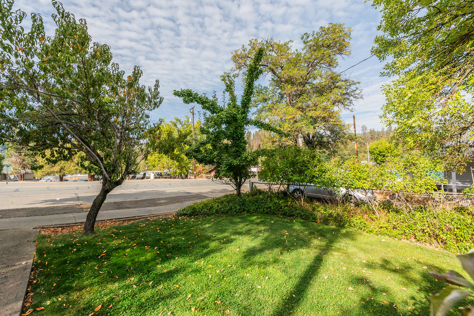 main property photo 100