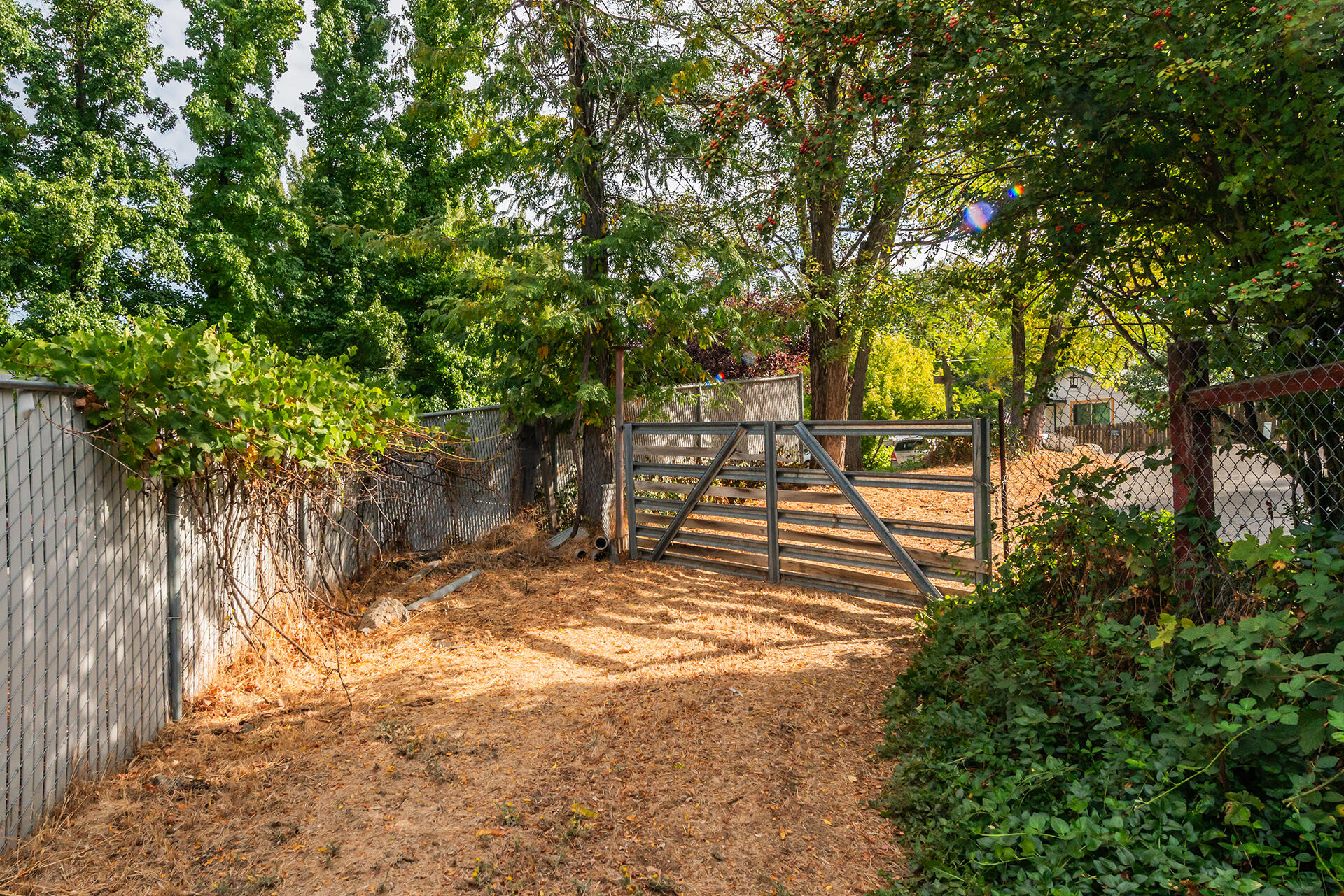 main property photo 82