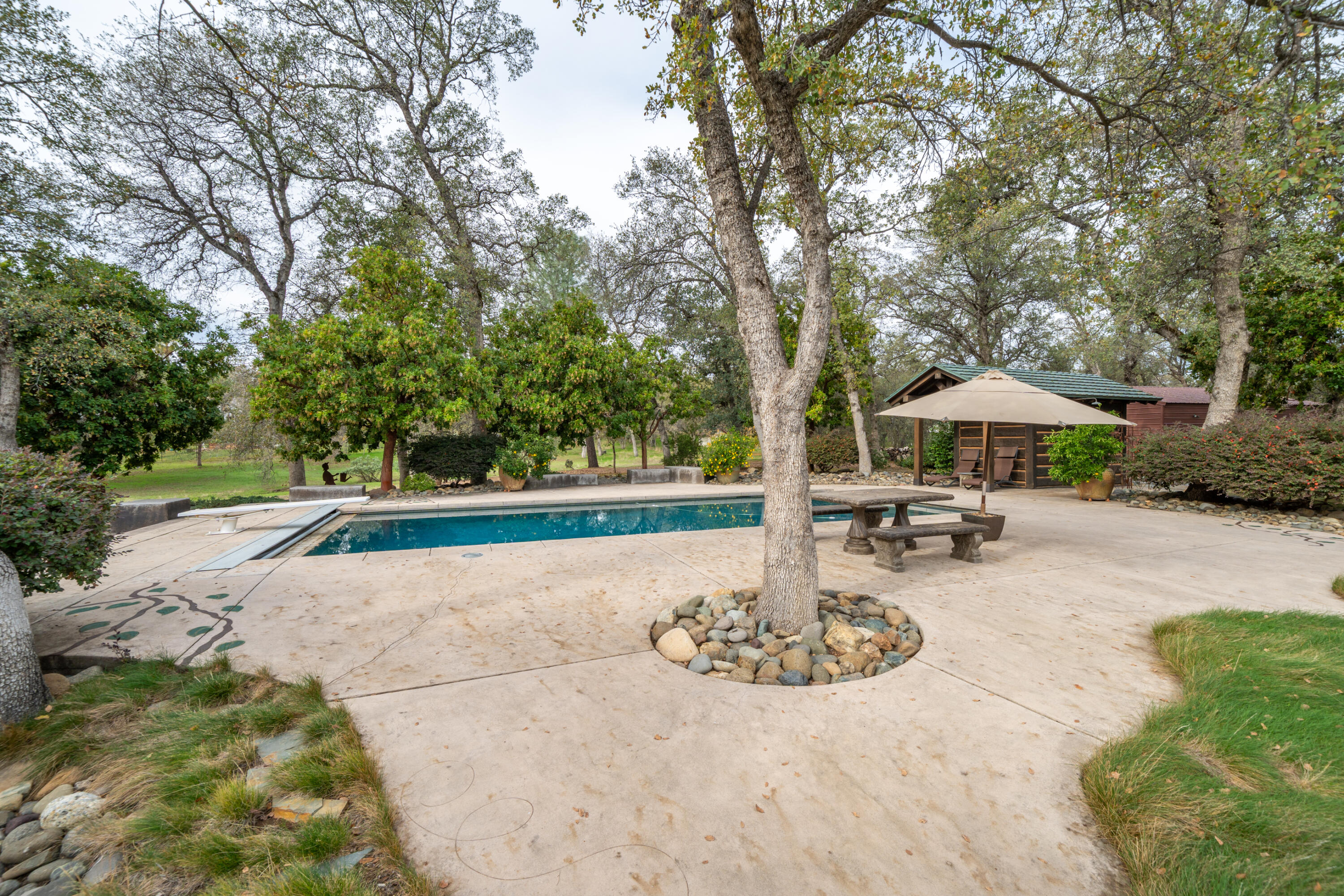 main property photo 71