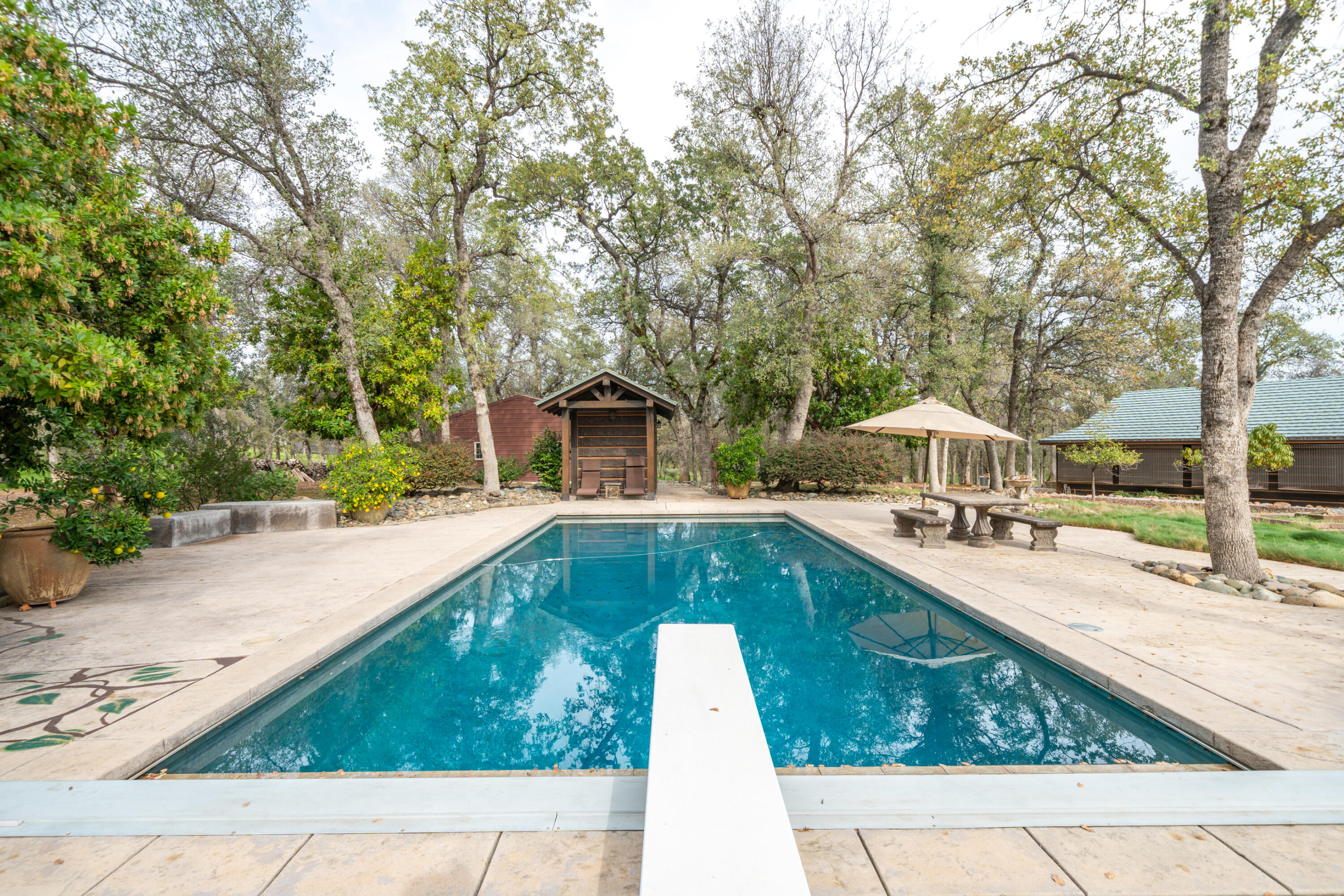main property photo 74