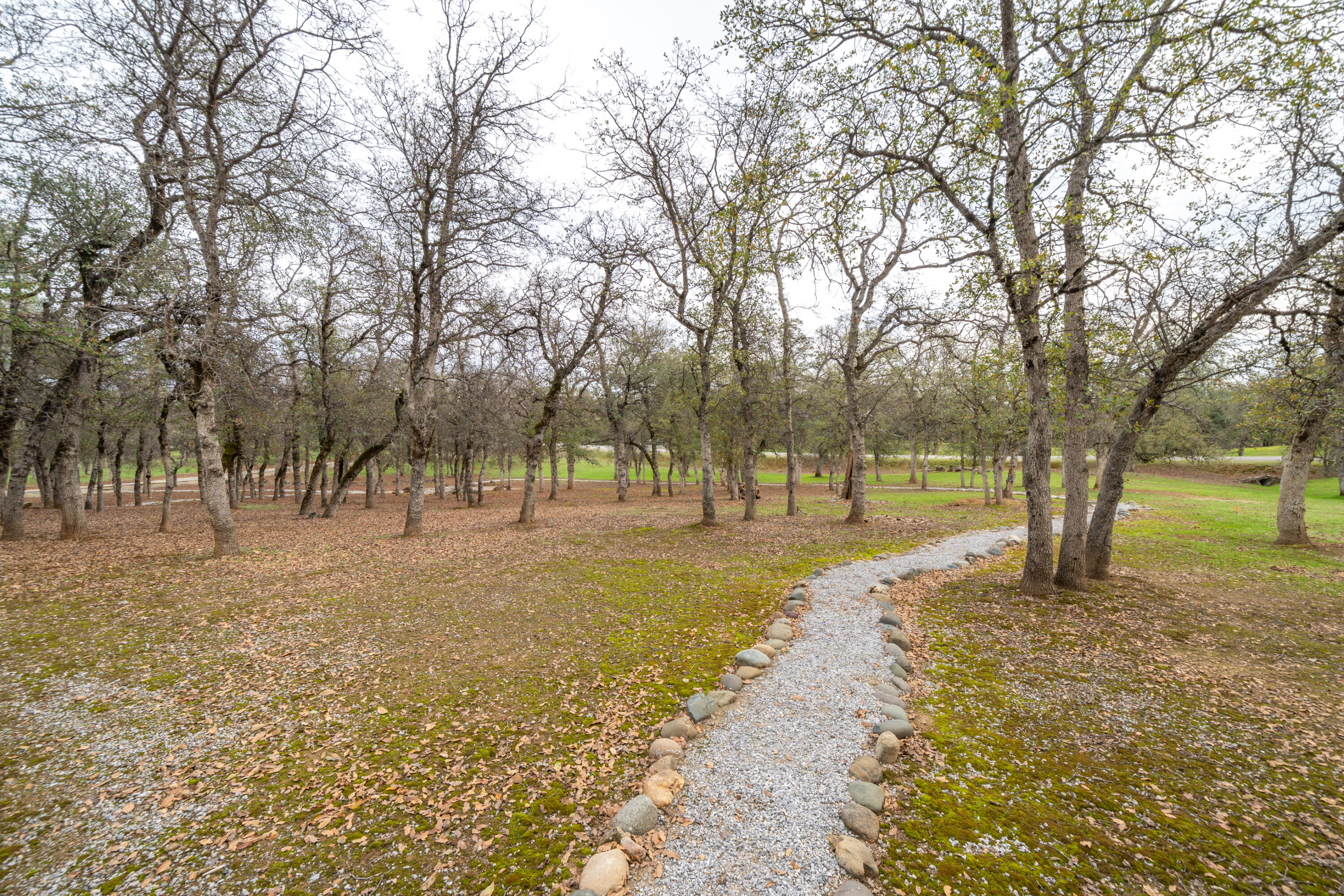 main property photo 89