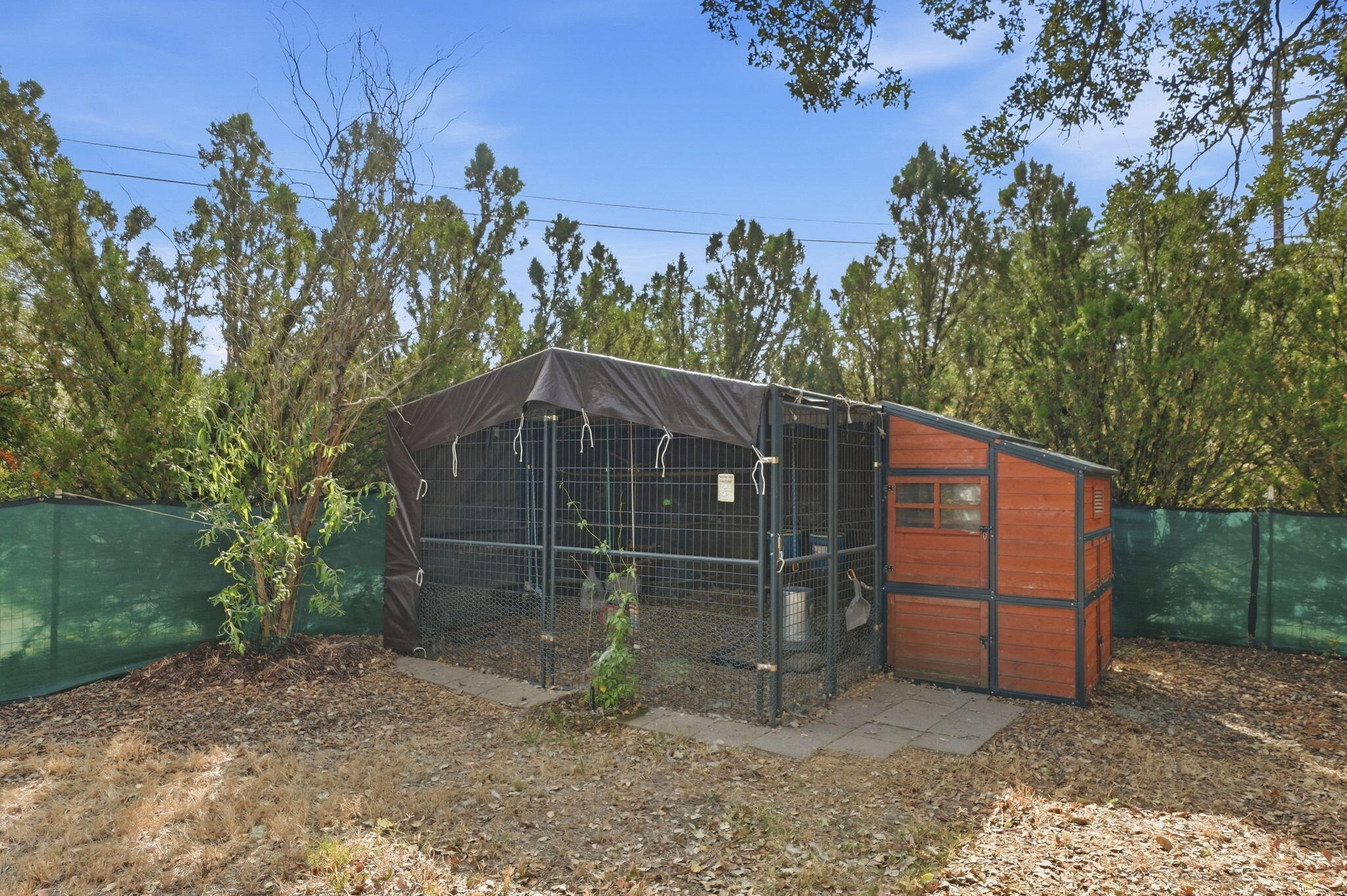 main property photo 39
