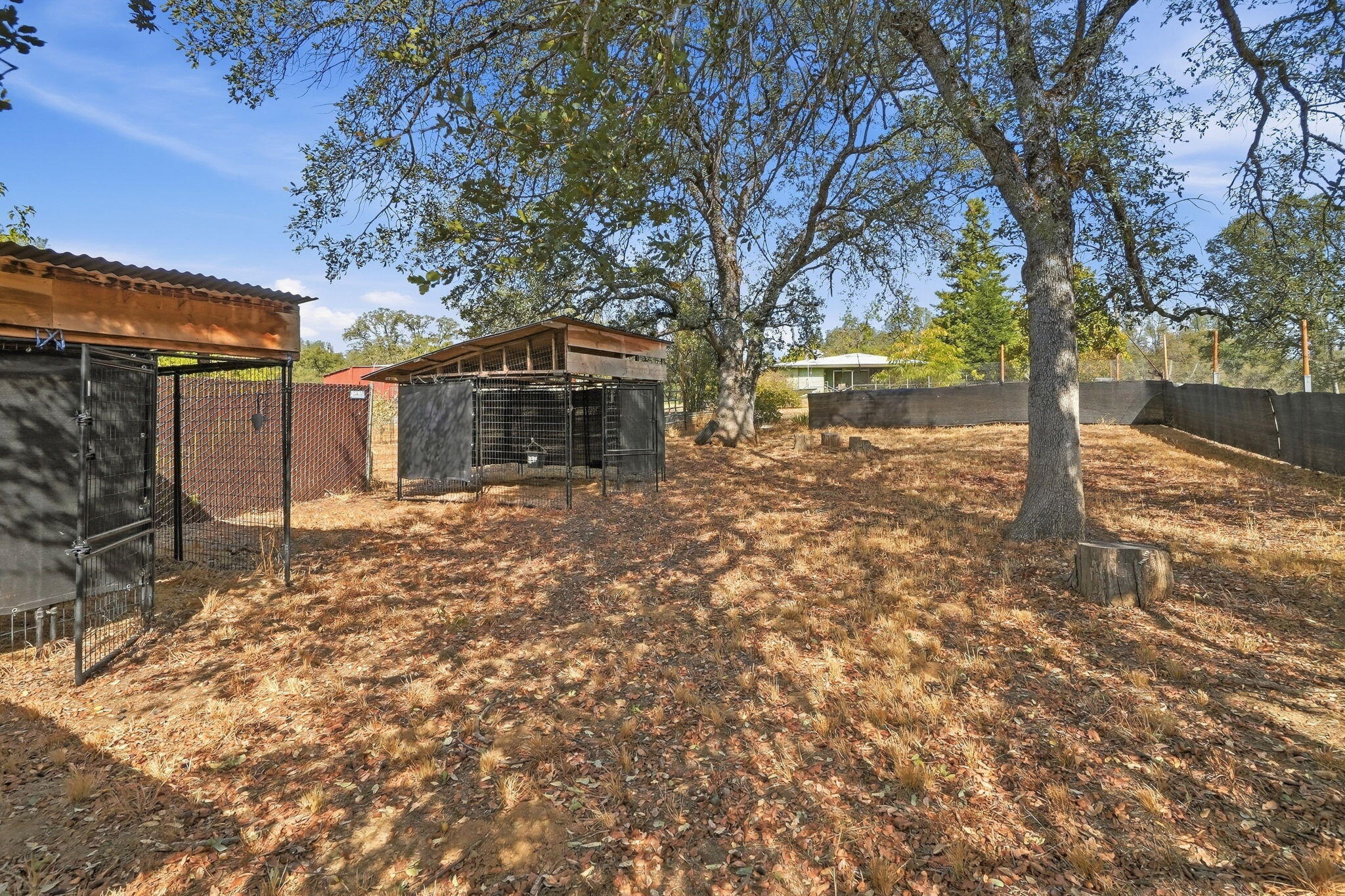 main property photo 53