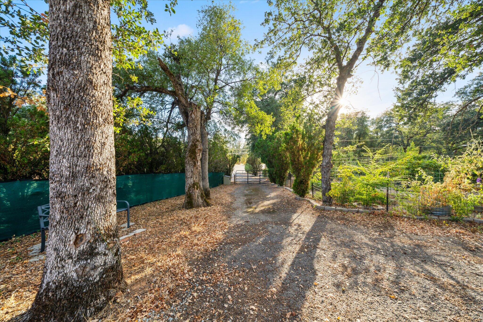 main property photo 58