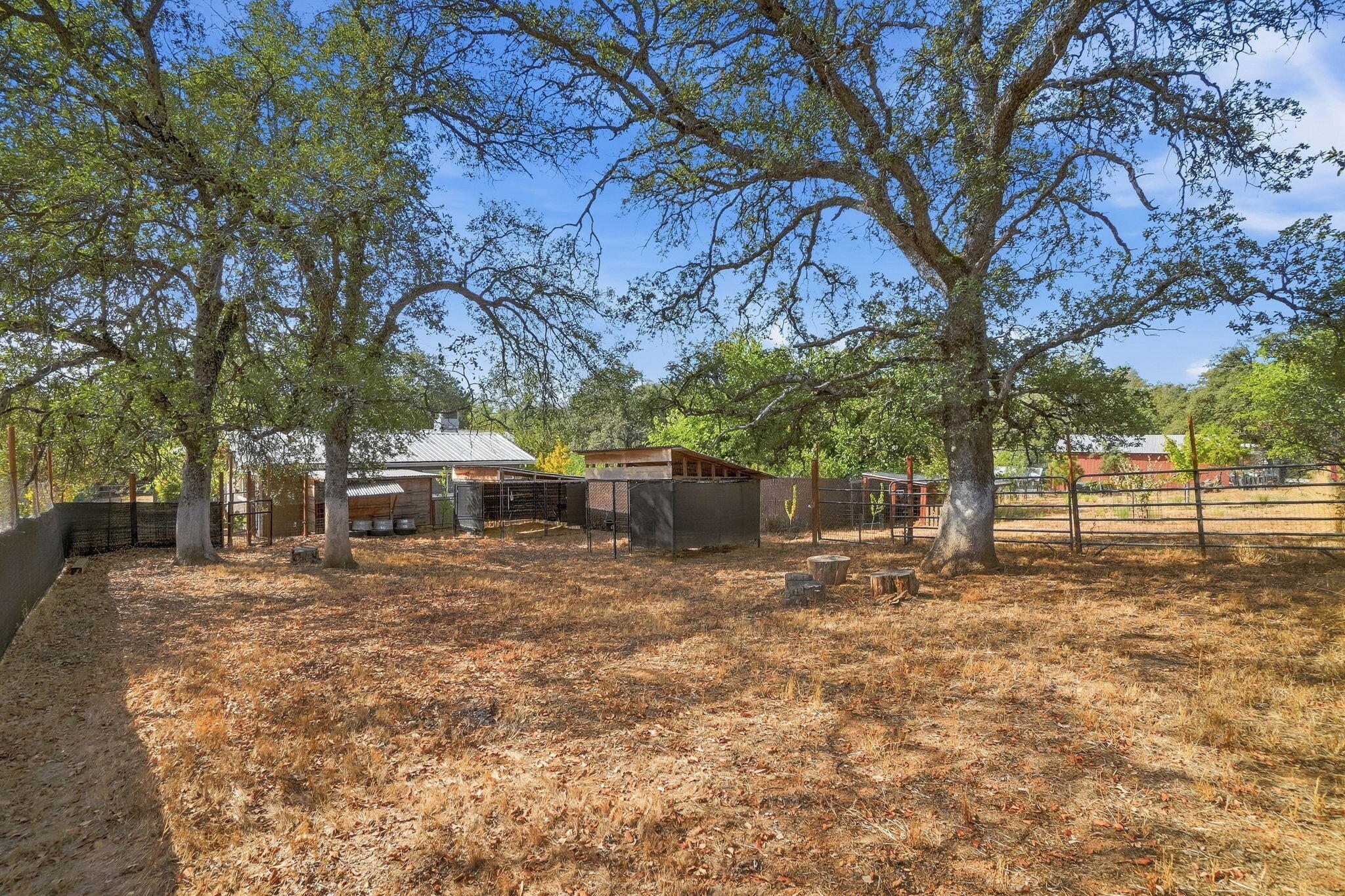 main property photo 69