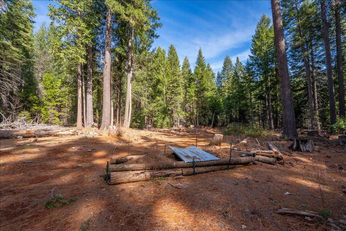 main property photo 52