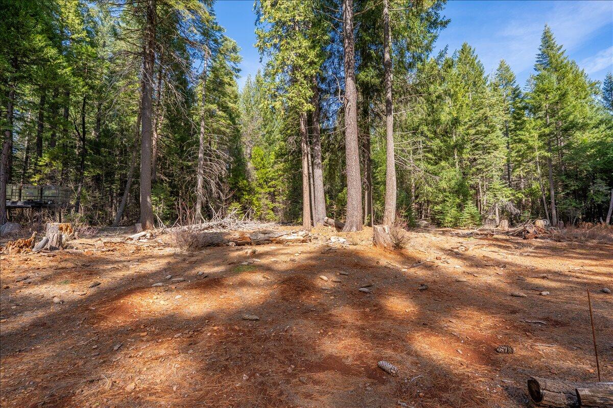main property photo 53