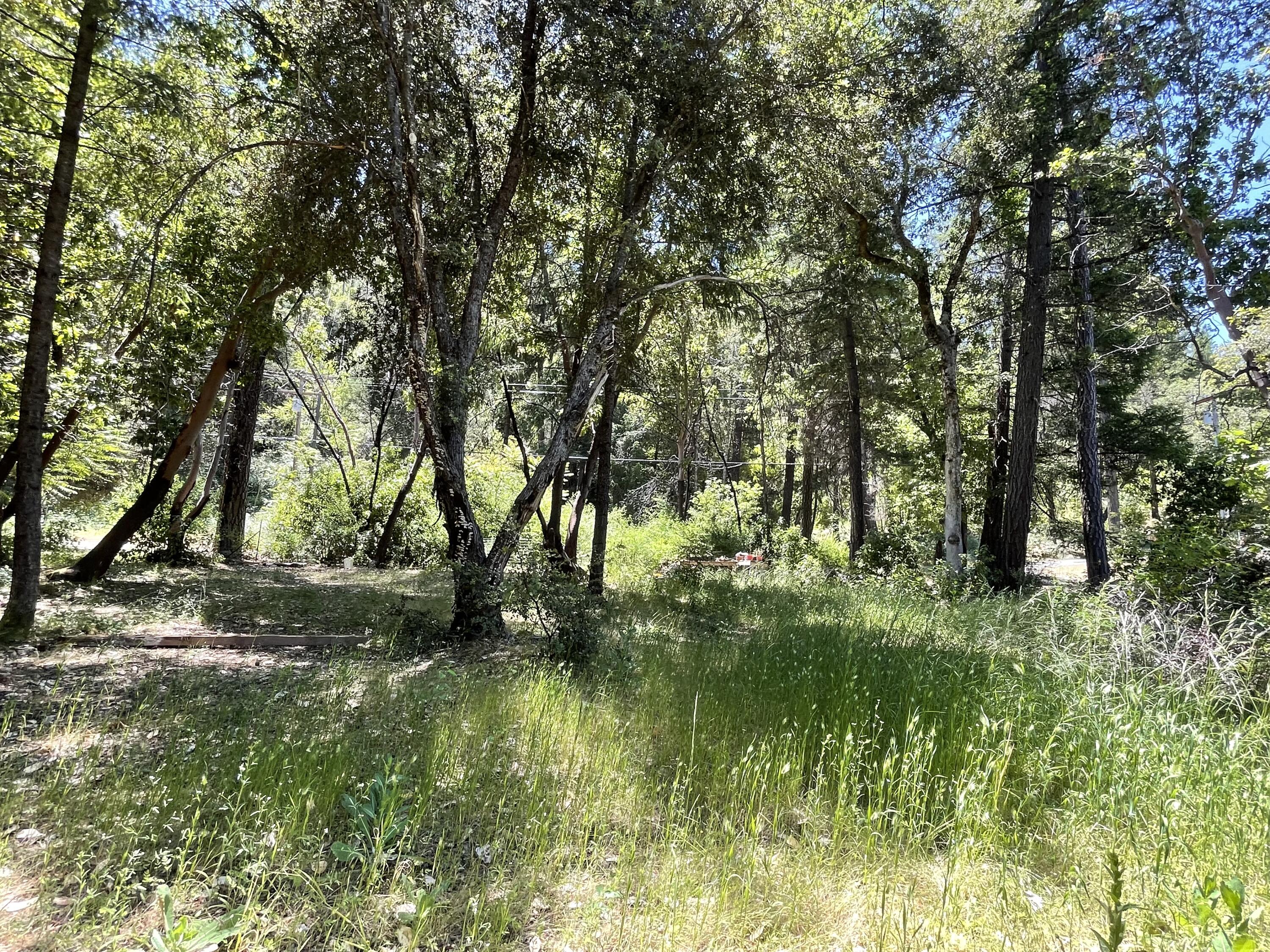 main property photo 9