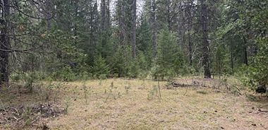 image of property with 0 Bed | 0 Bath | 0 Sqft