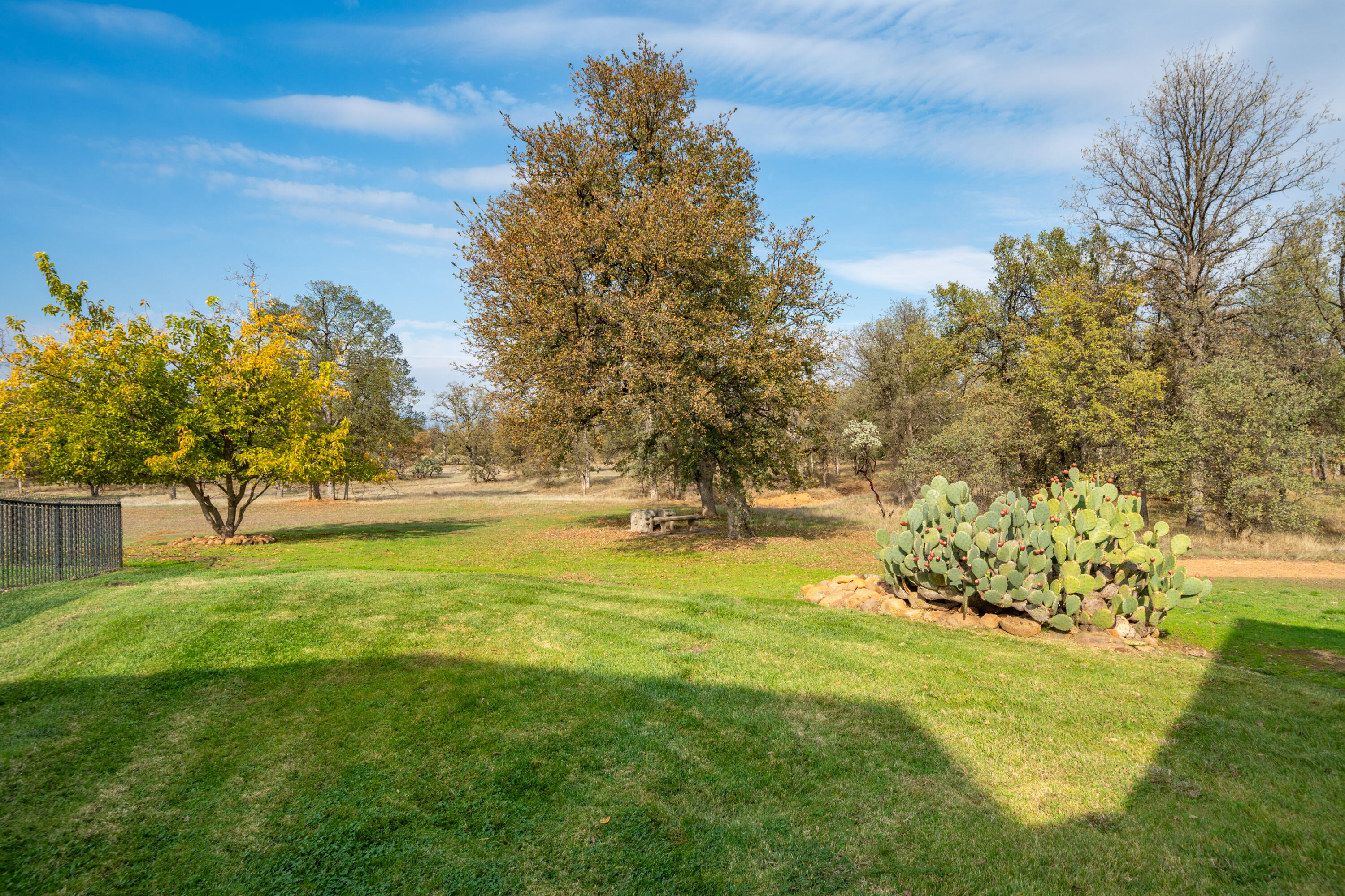 main property photo 67