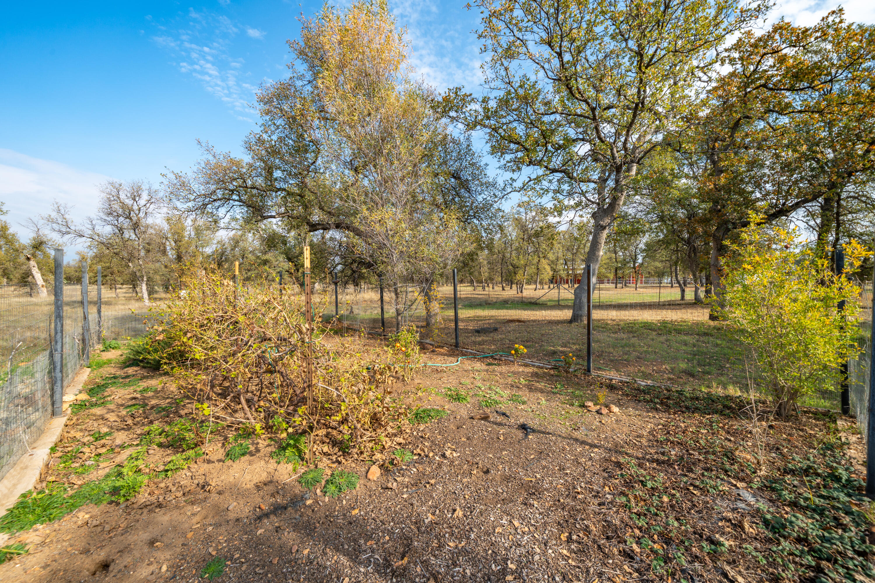 main property photo 77