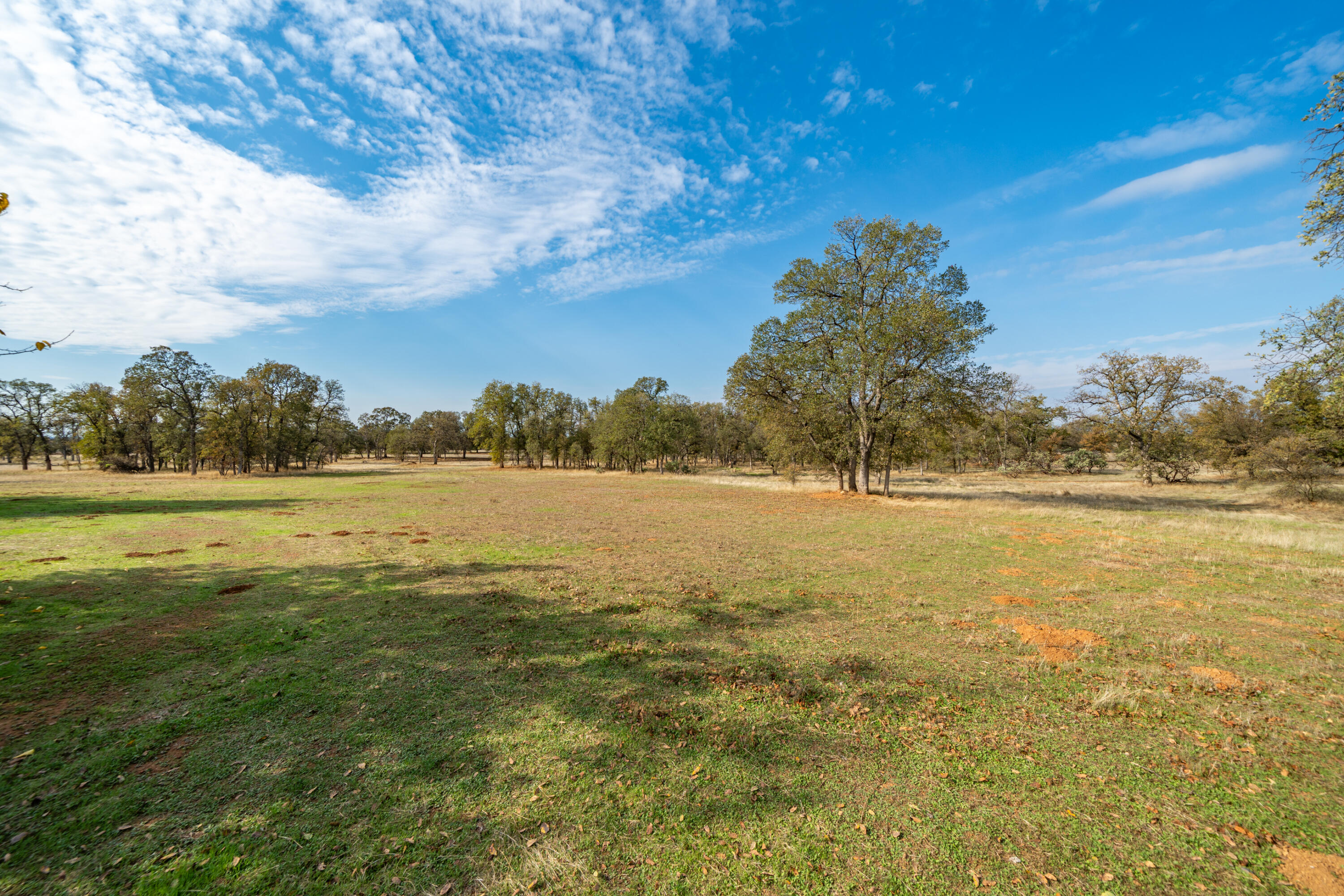 main property photo 80