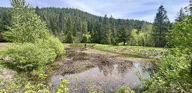 image of property with 0 Bed | 0 Bath | 0 Sqft