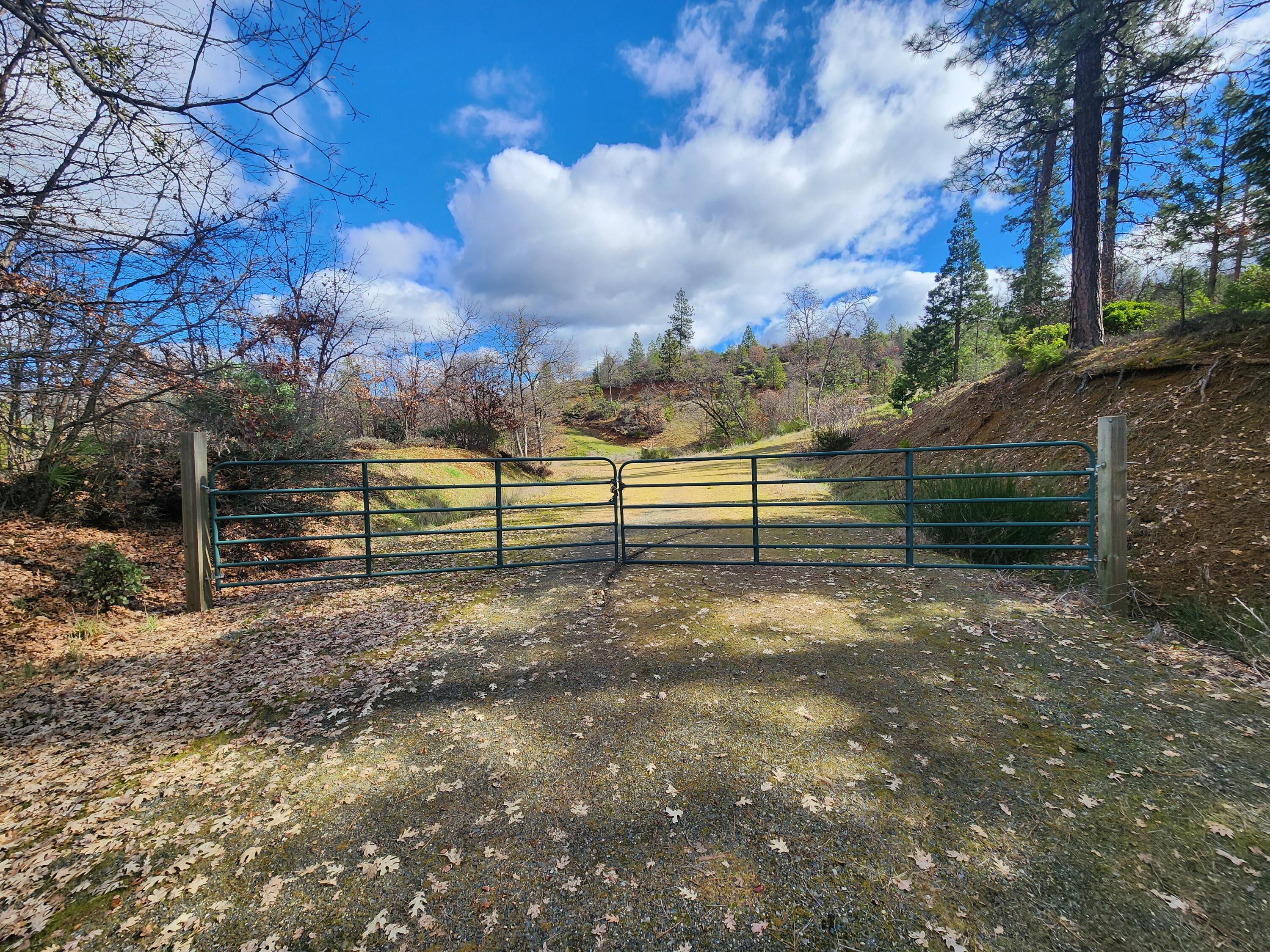 main property photo 39