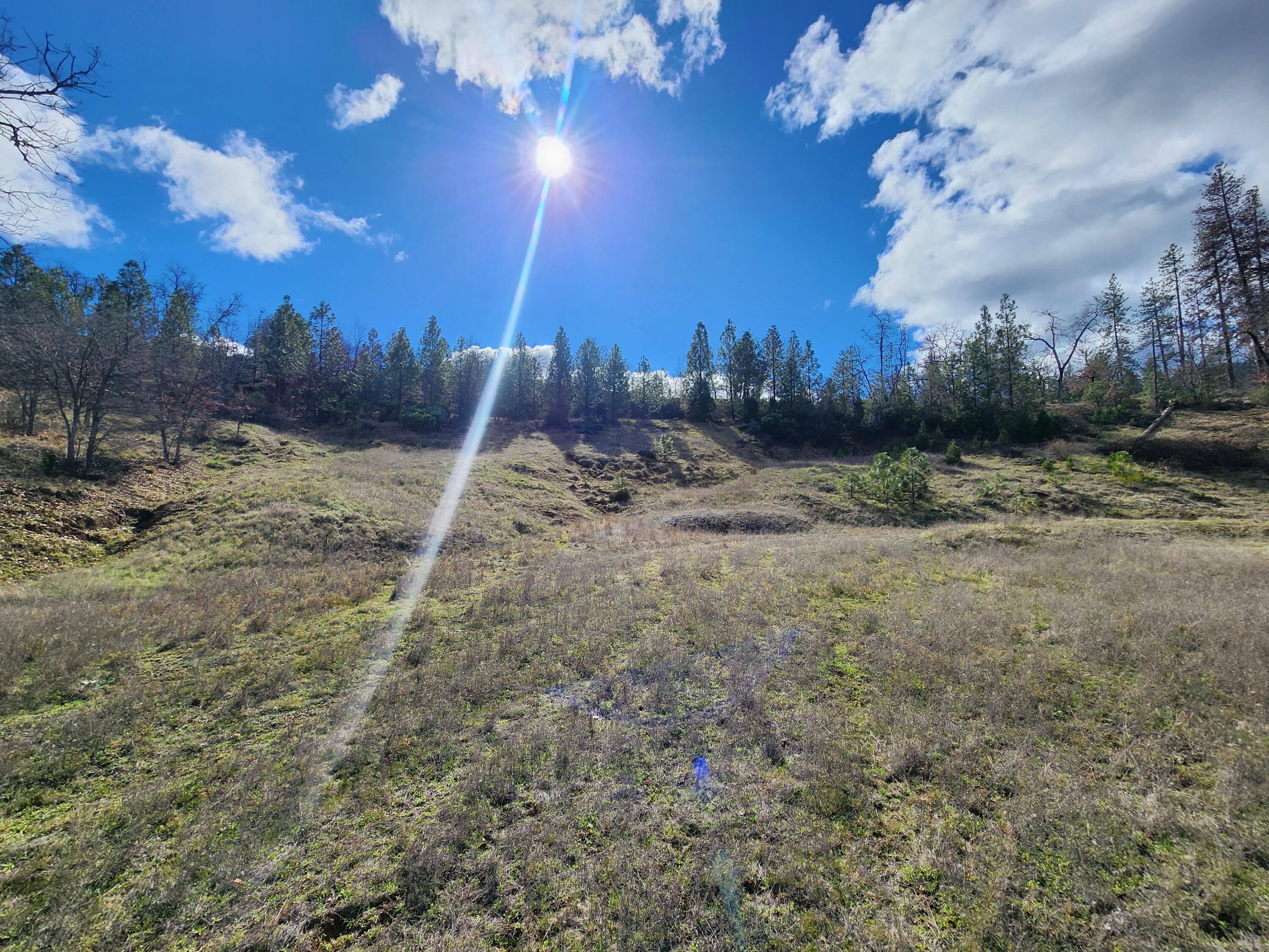 main property photo 48