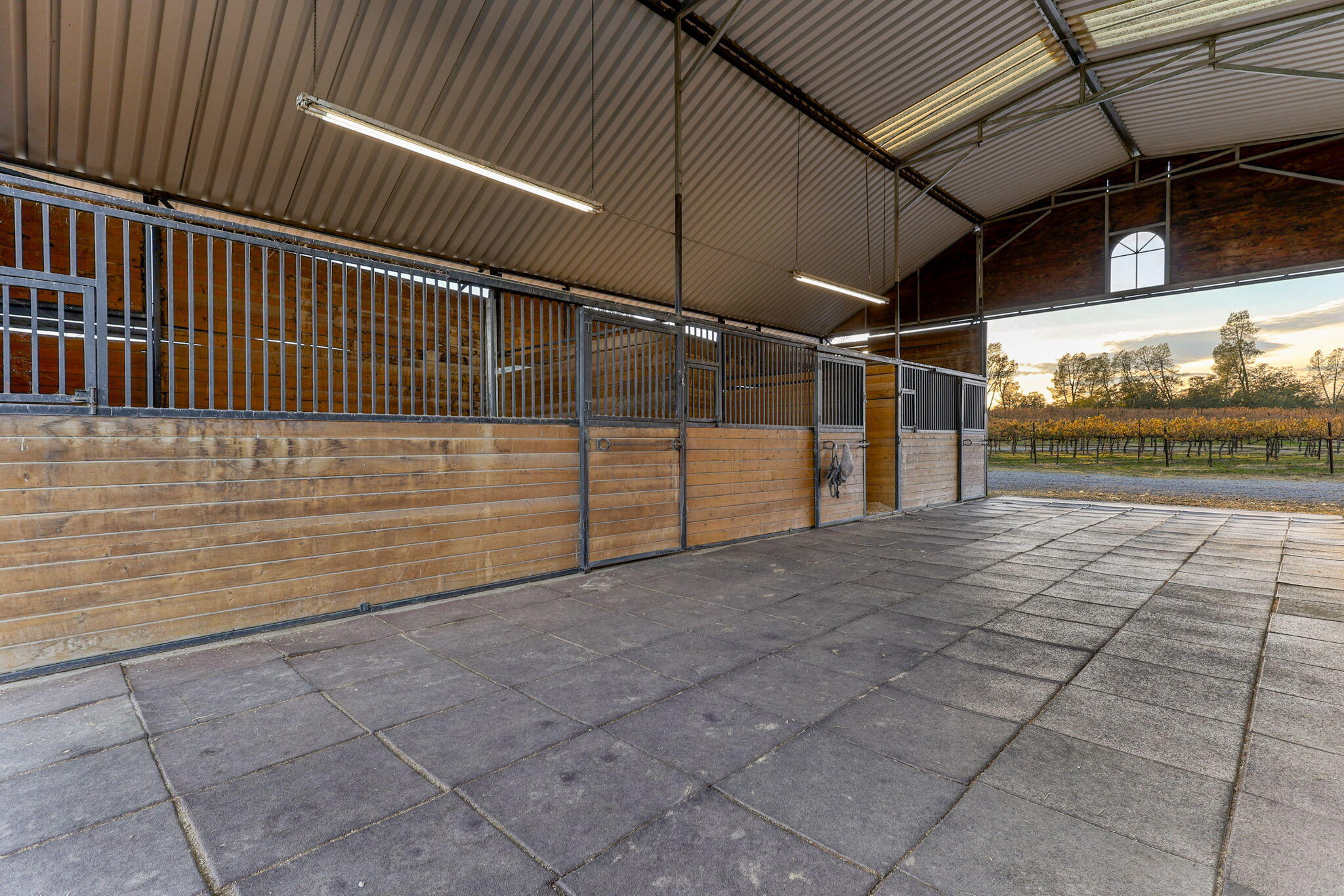 main property photo 52