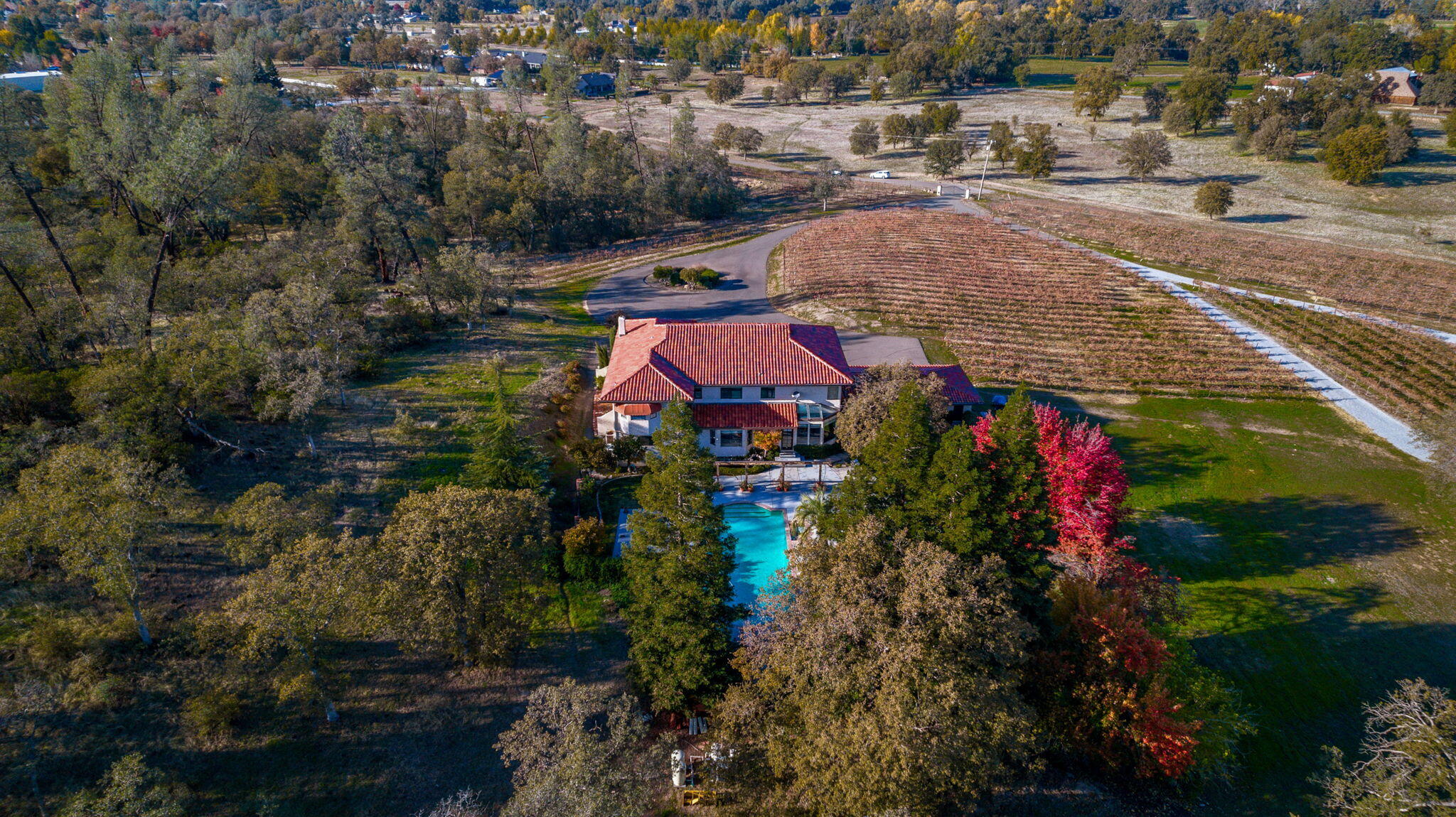 main property photo 58