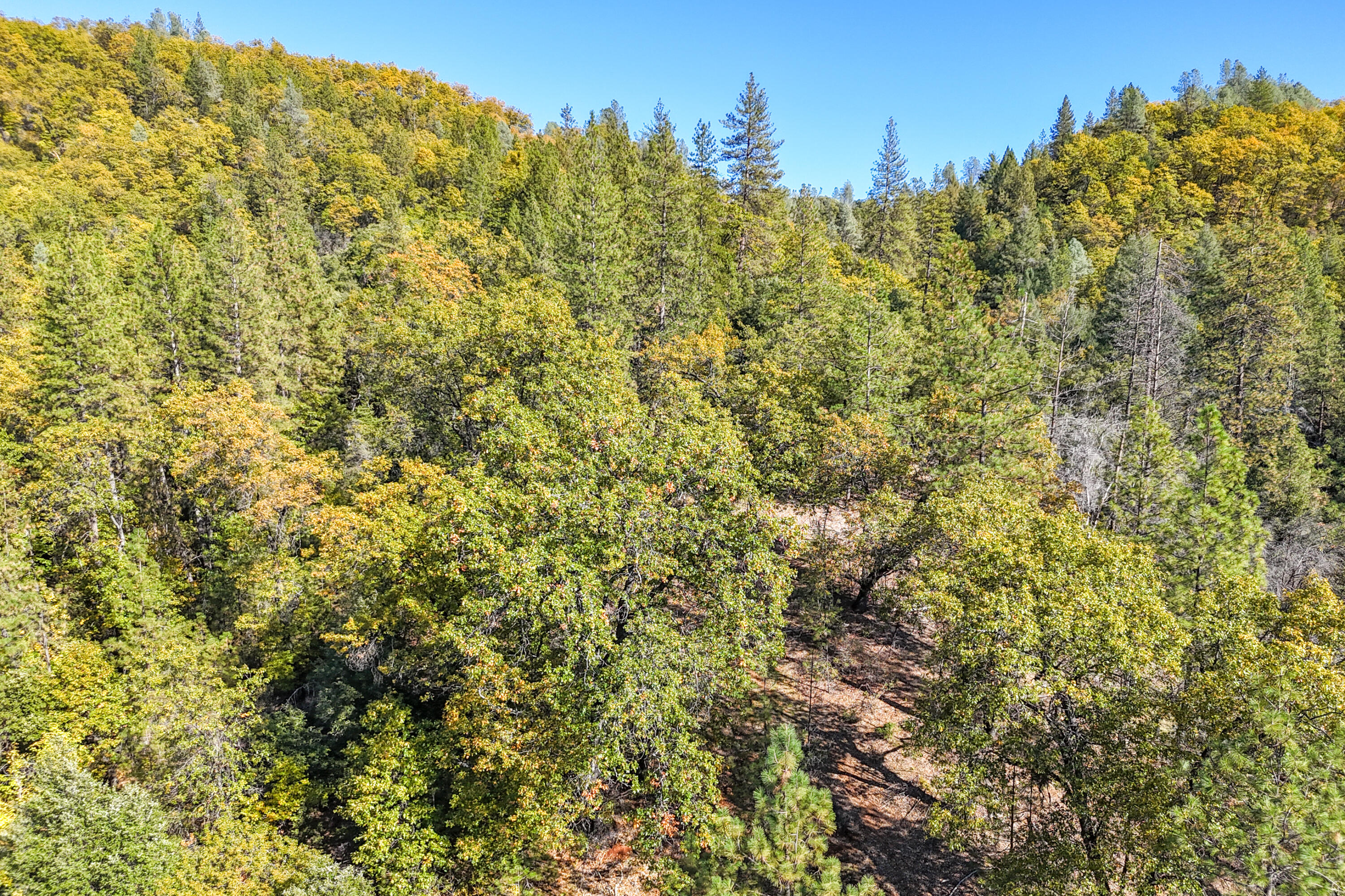 main property photo 75