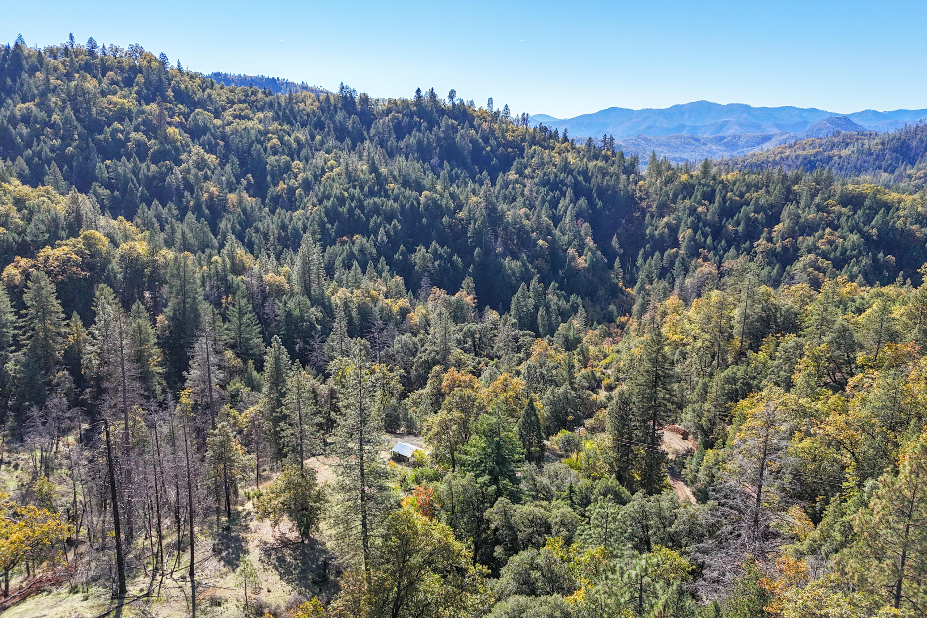 main property photo 82