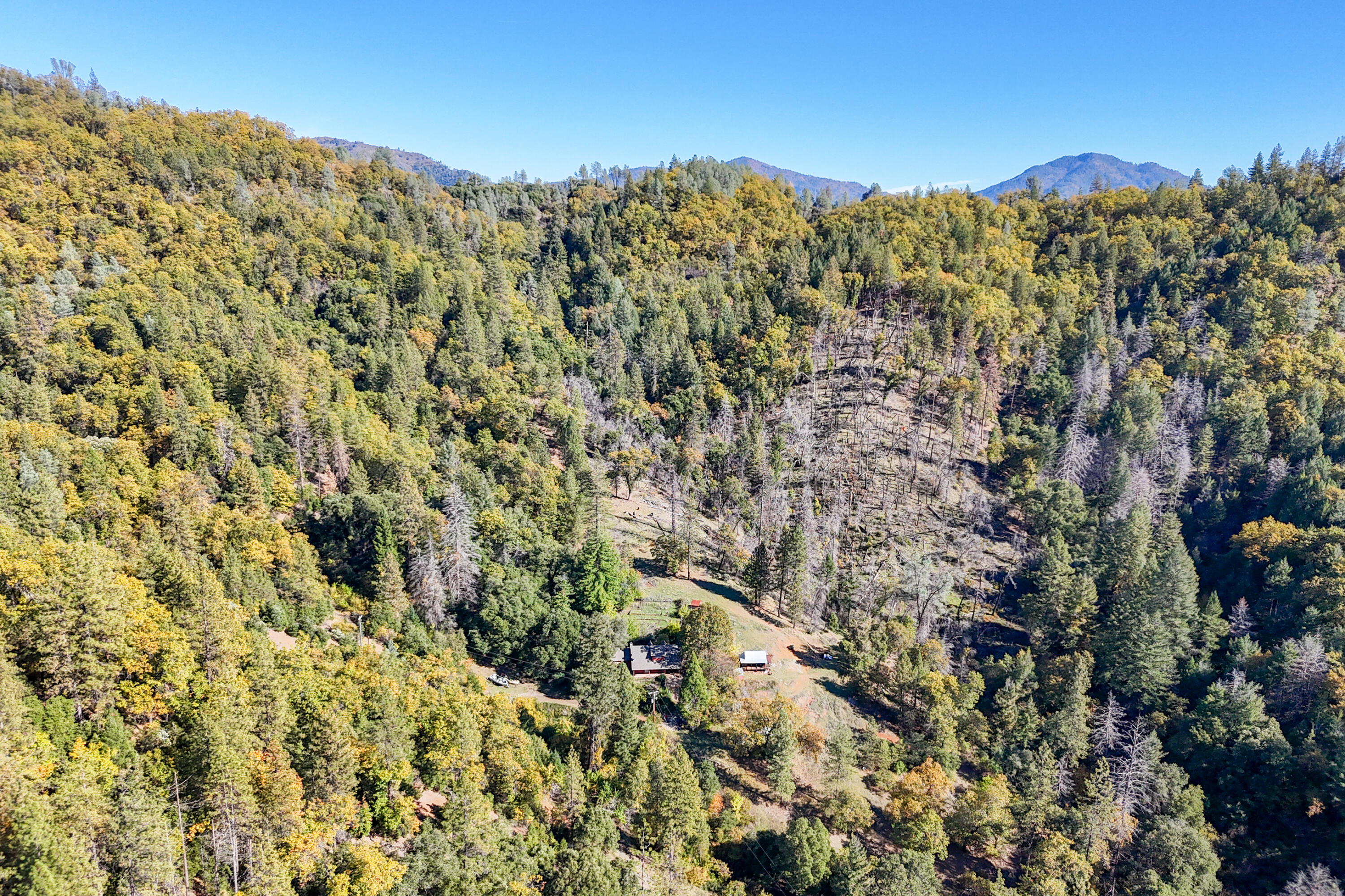main property photo 84