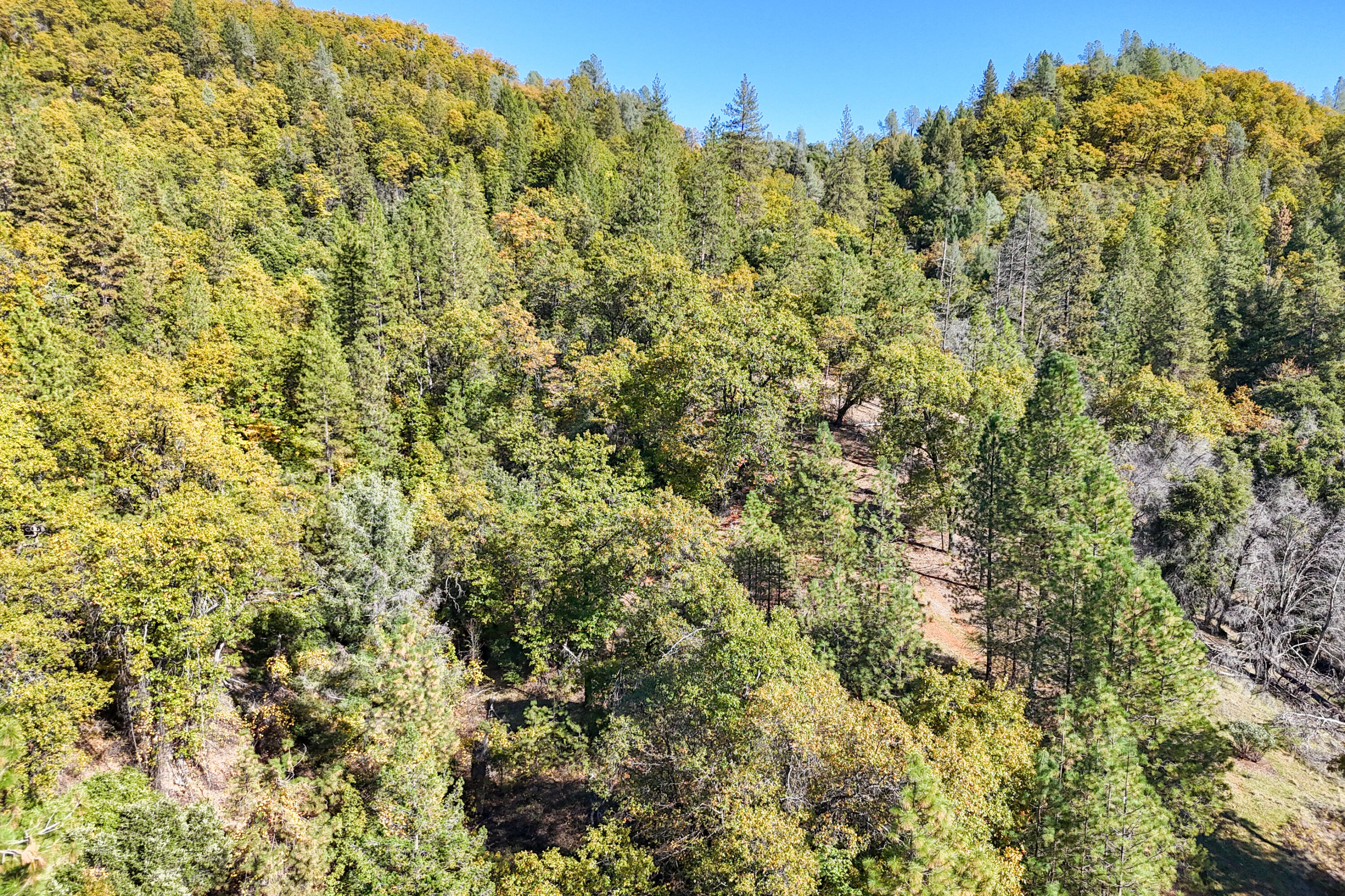 main property photo 89