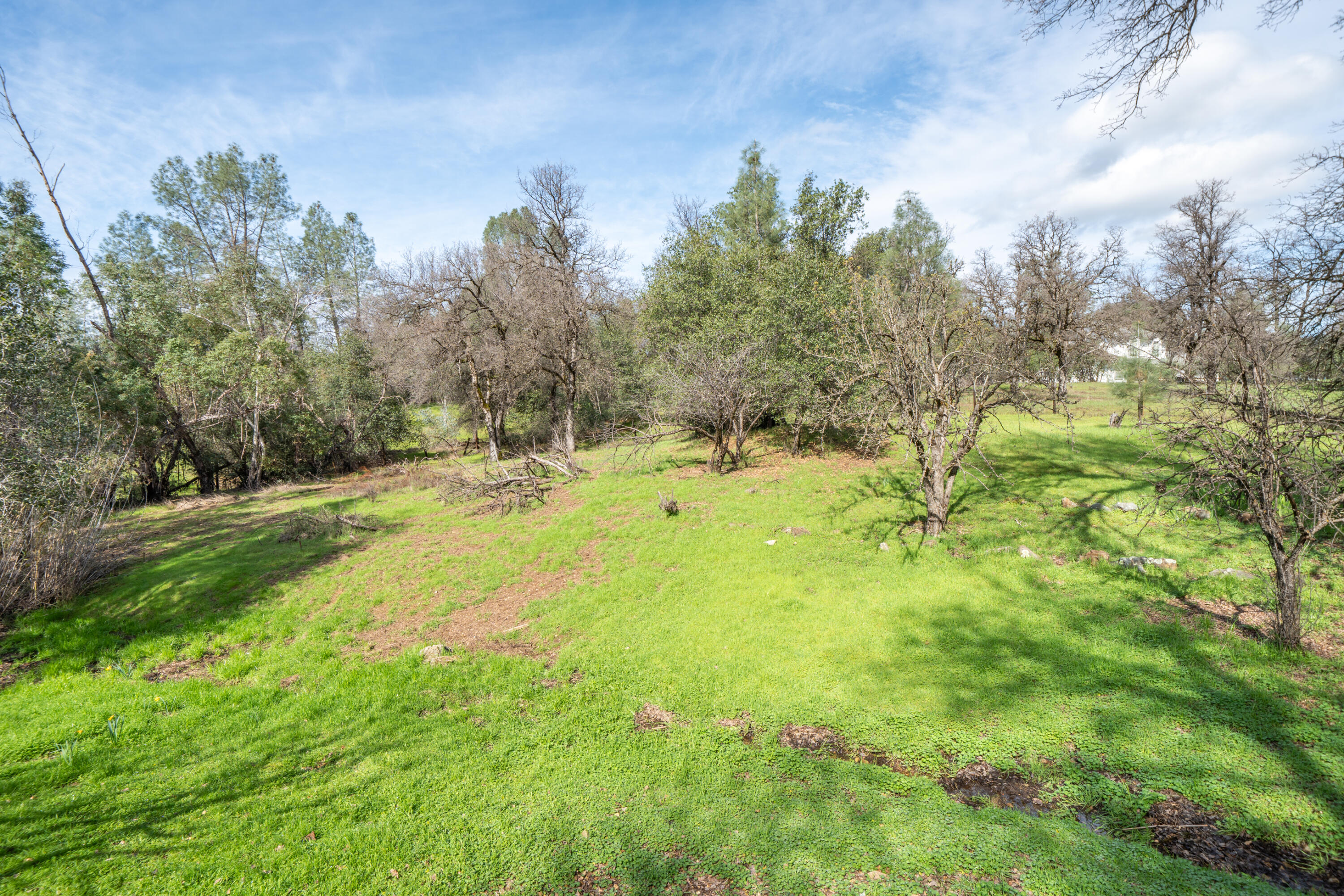 main property photo 54