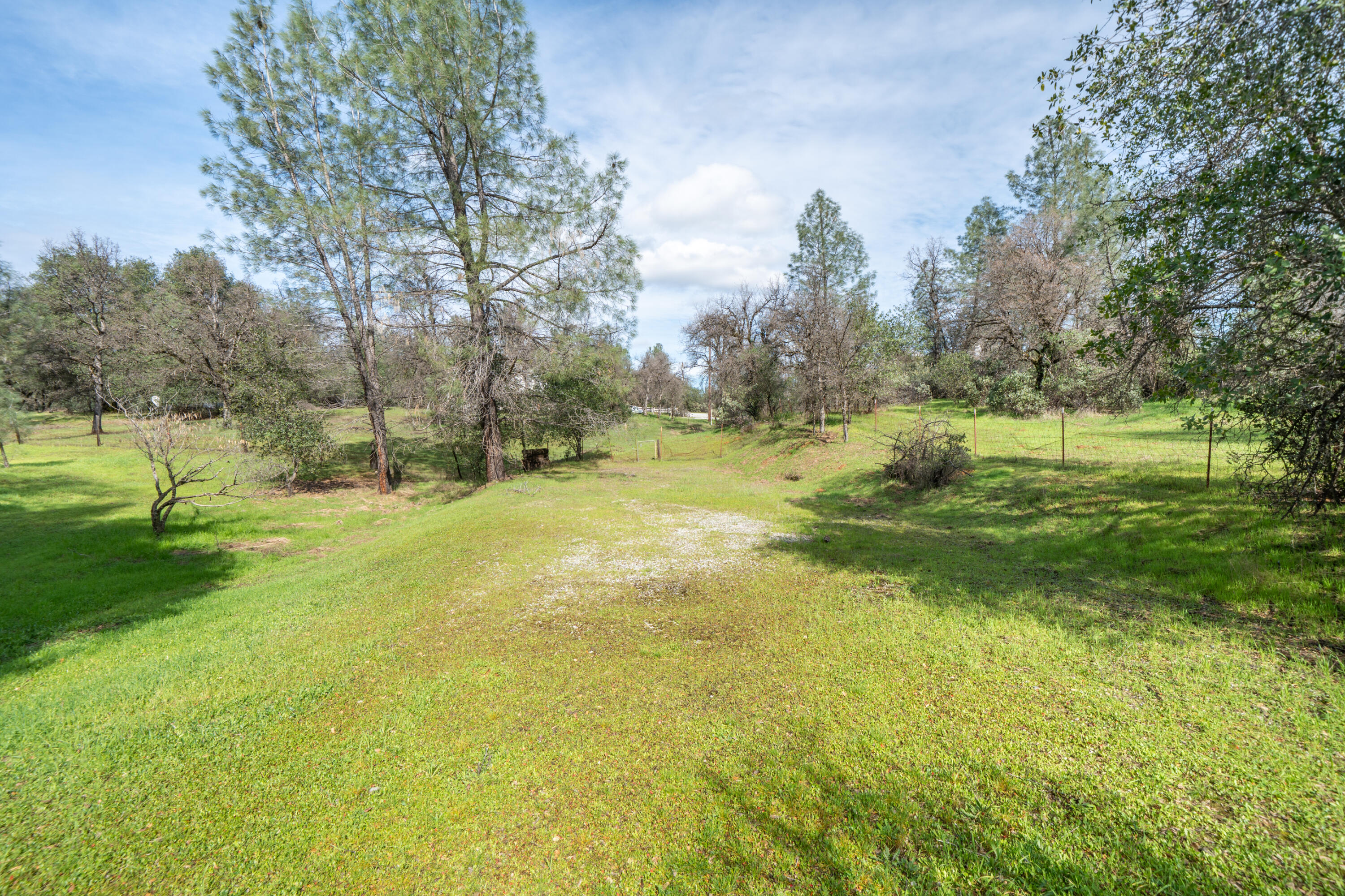 main property photo 56