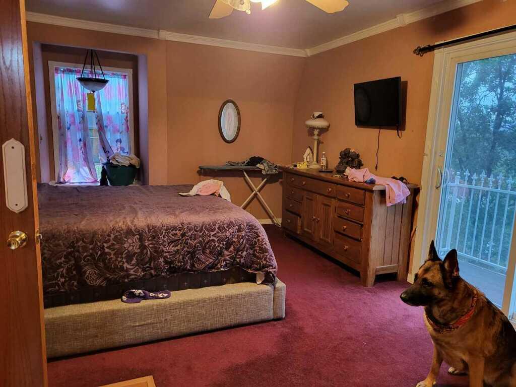 main property photo 14