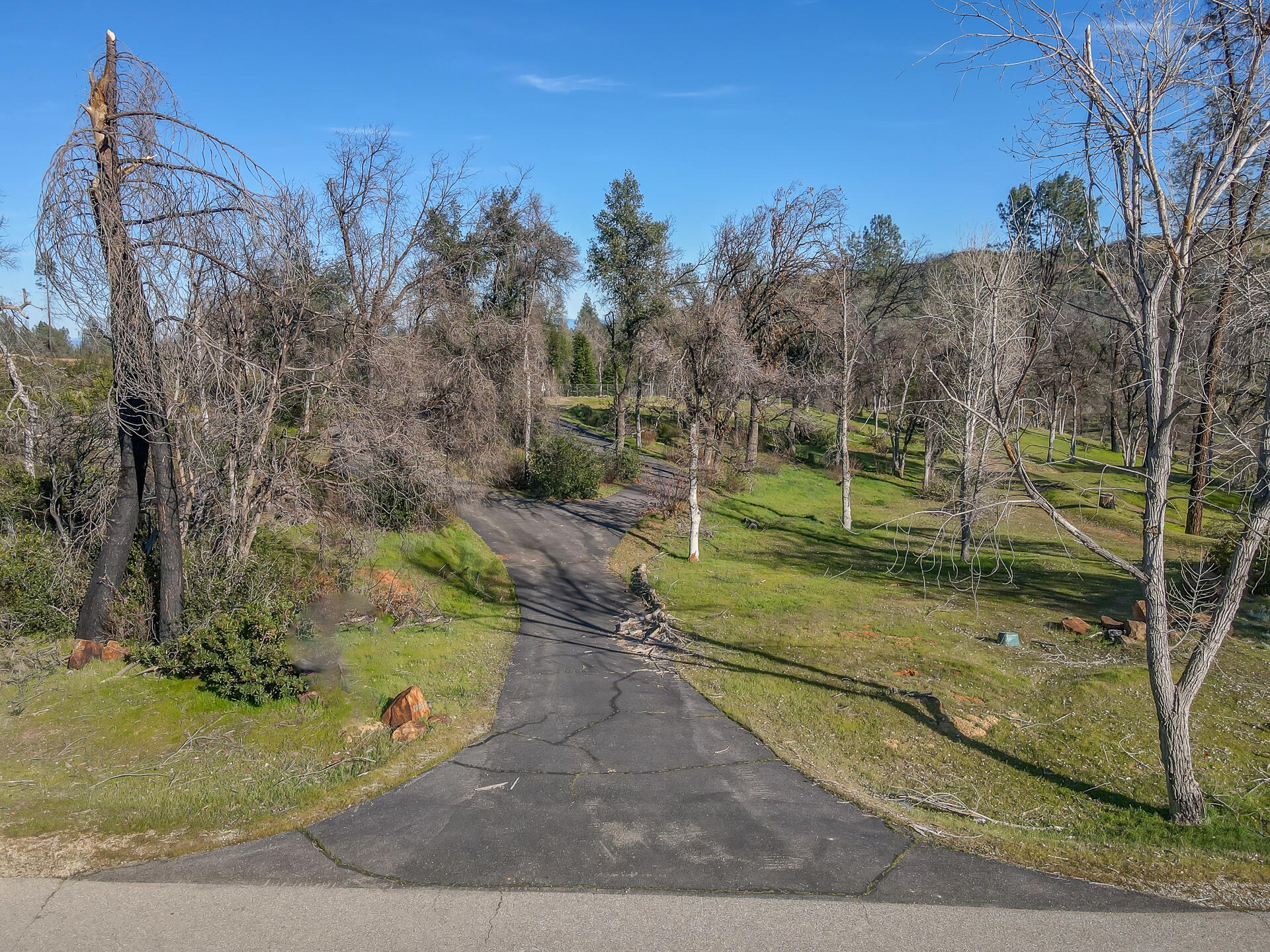 main property photo 19