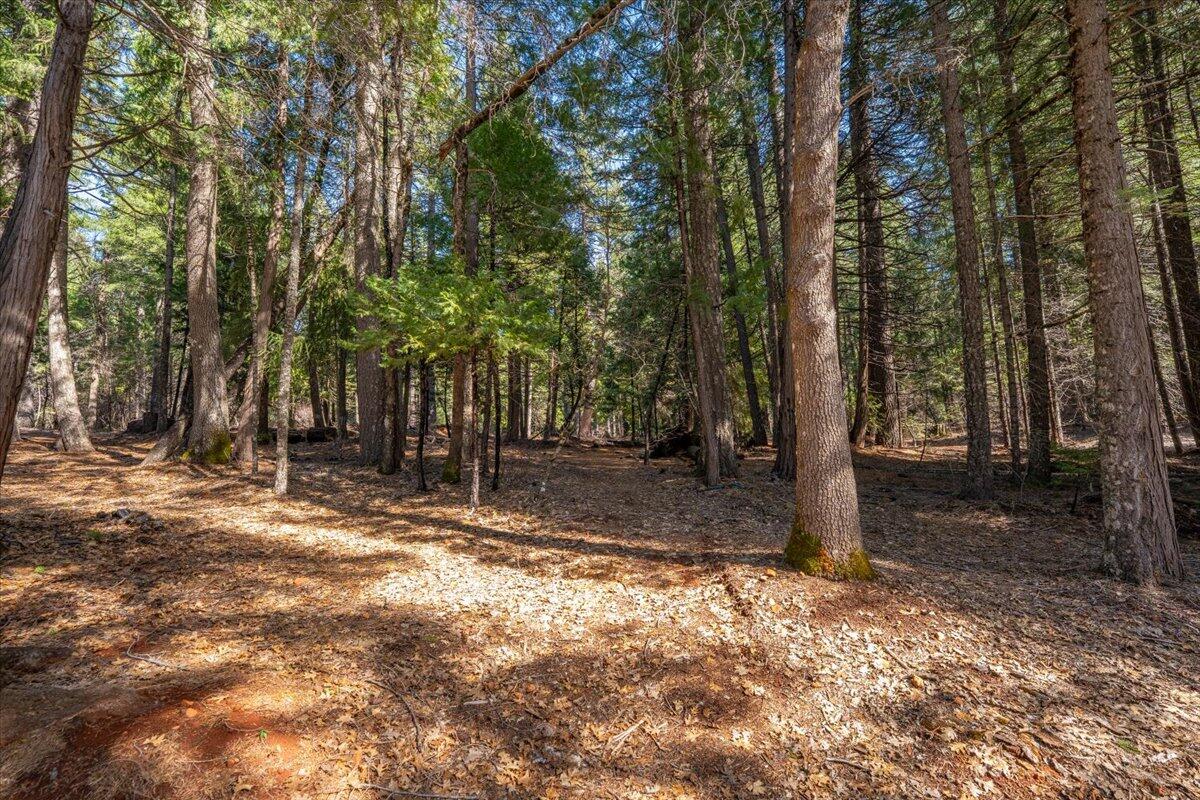 main property photo 49