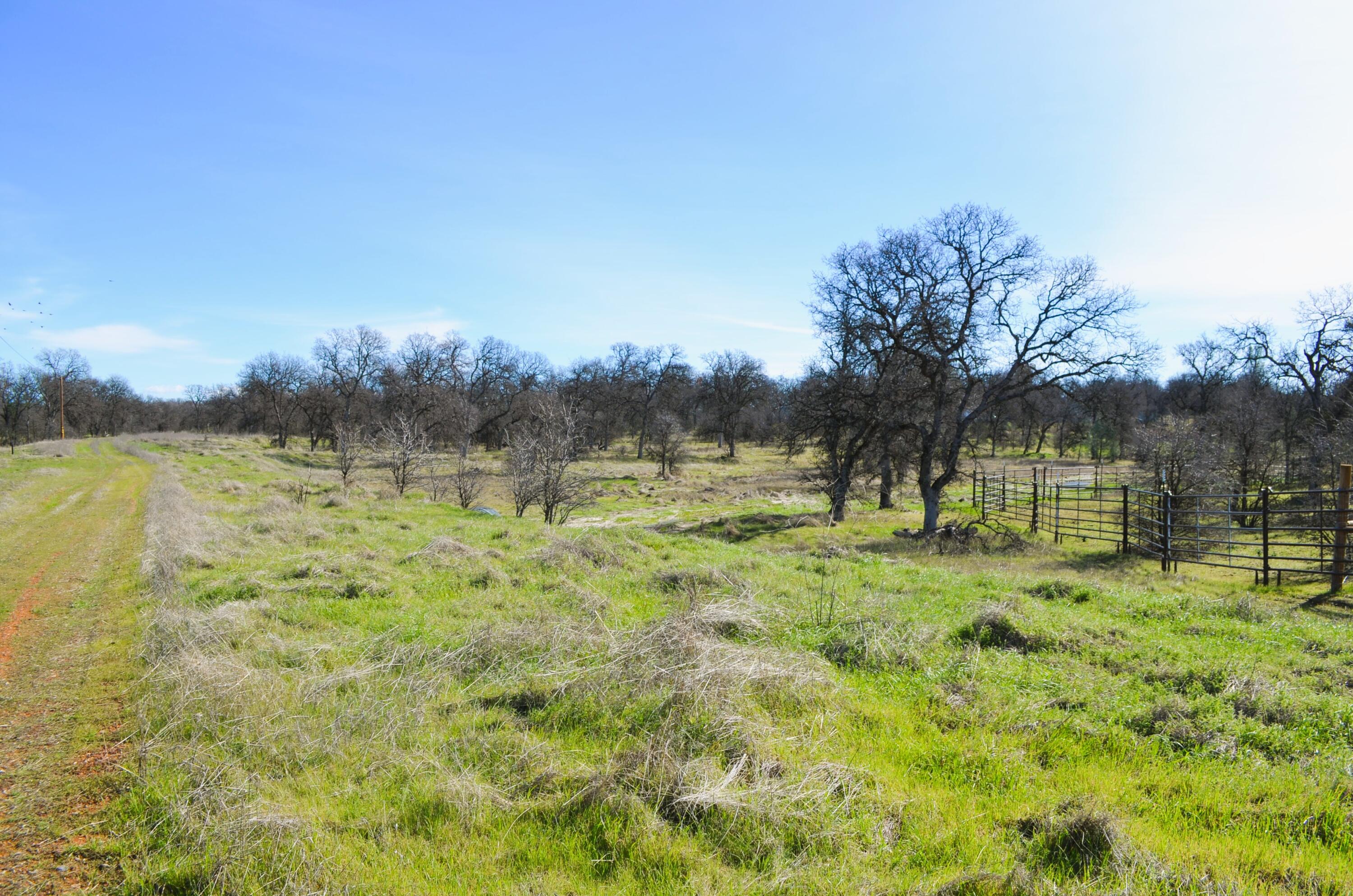 main property photo 11