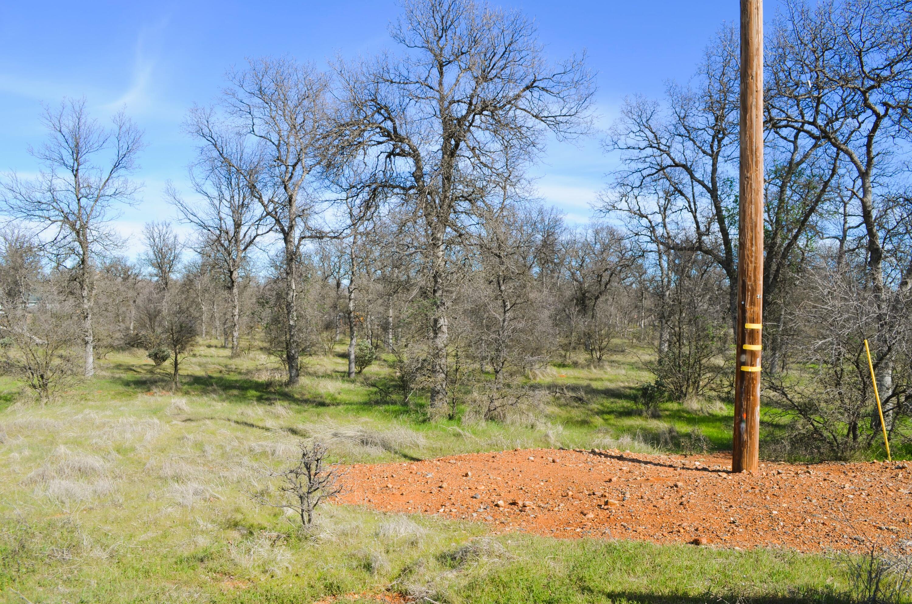 main property photo 7