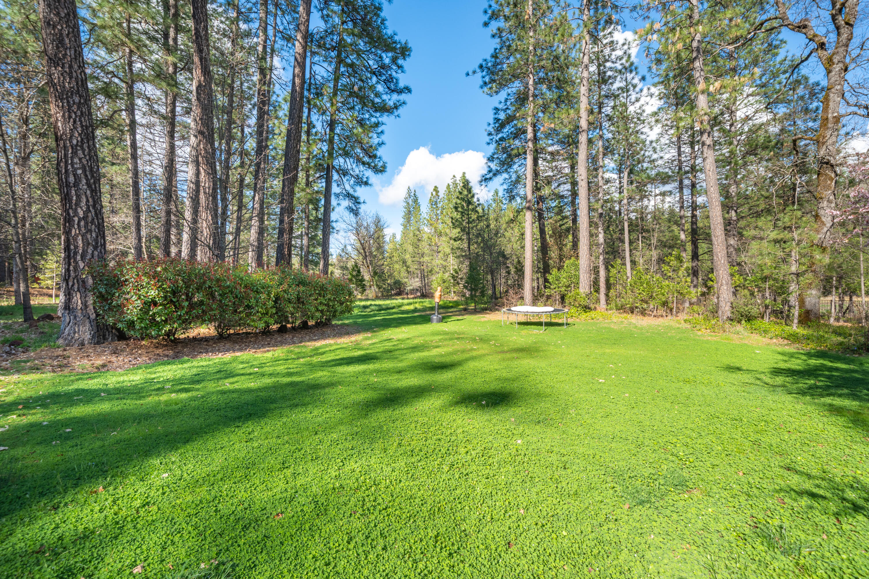 main property photo 100