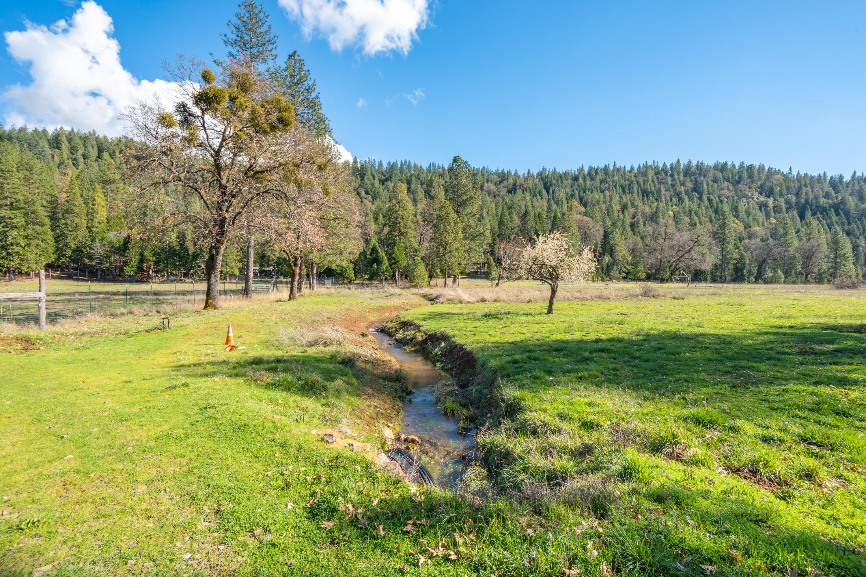 main property photo 101