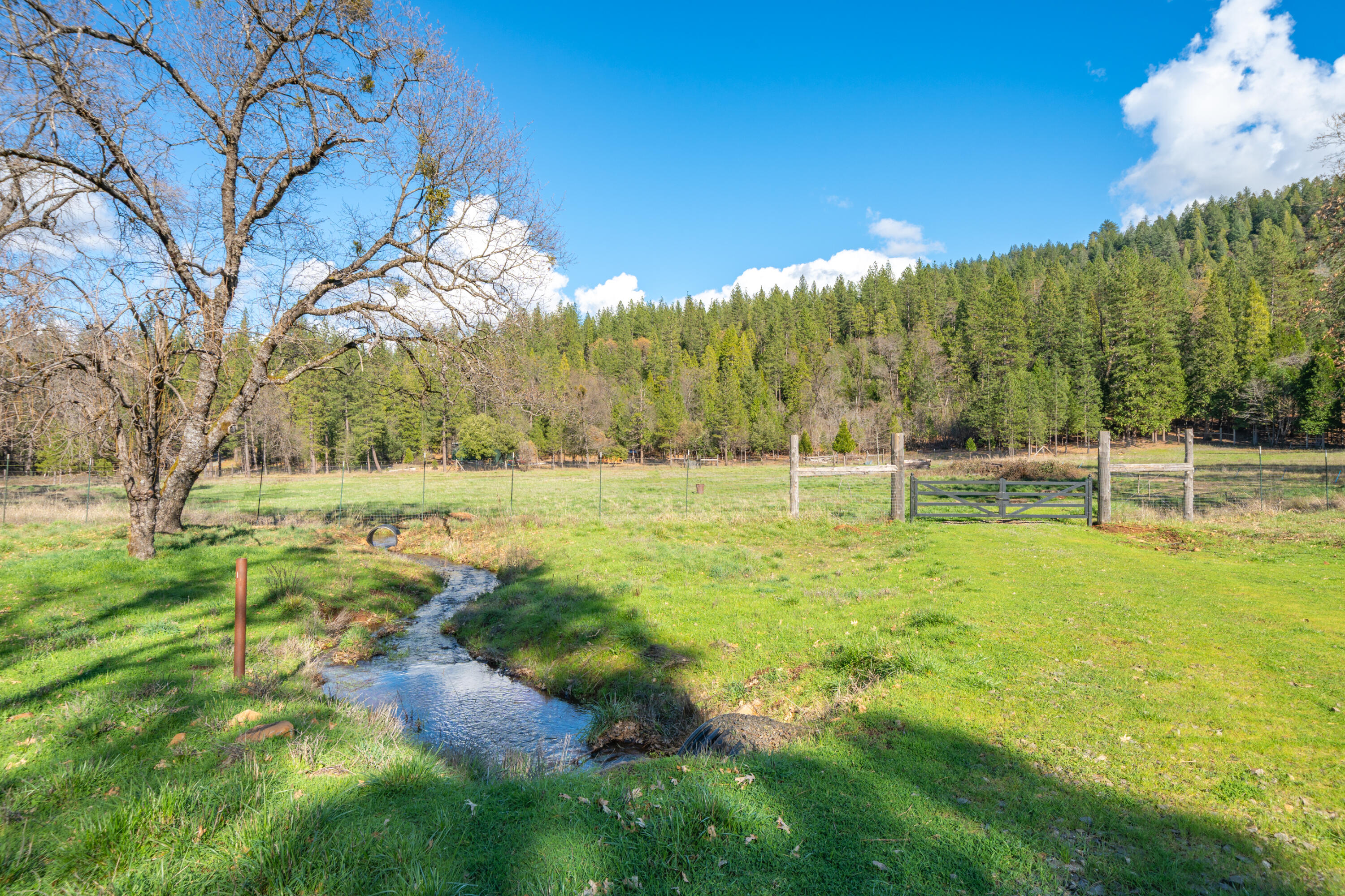 main property photo 102