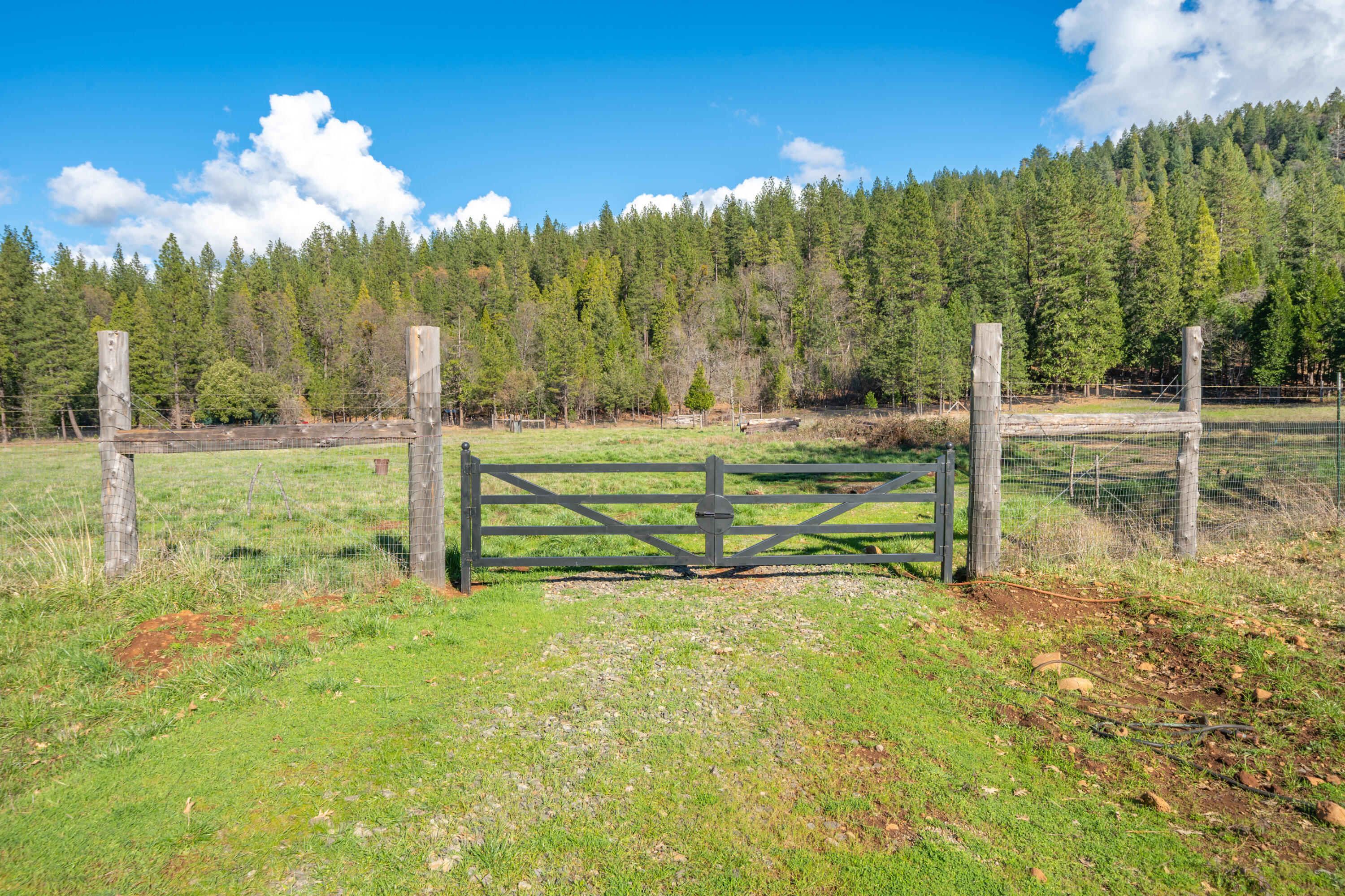 main property photo 103