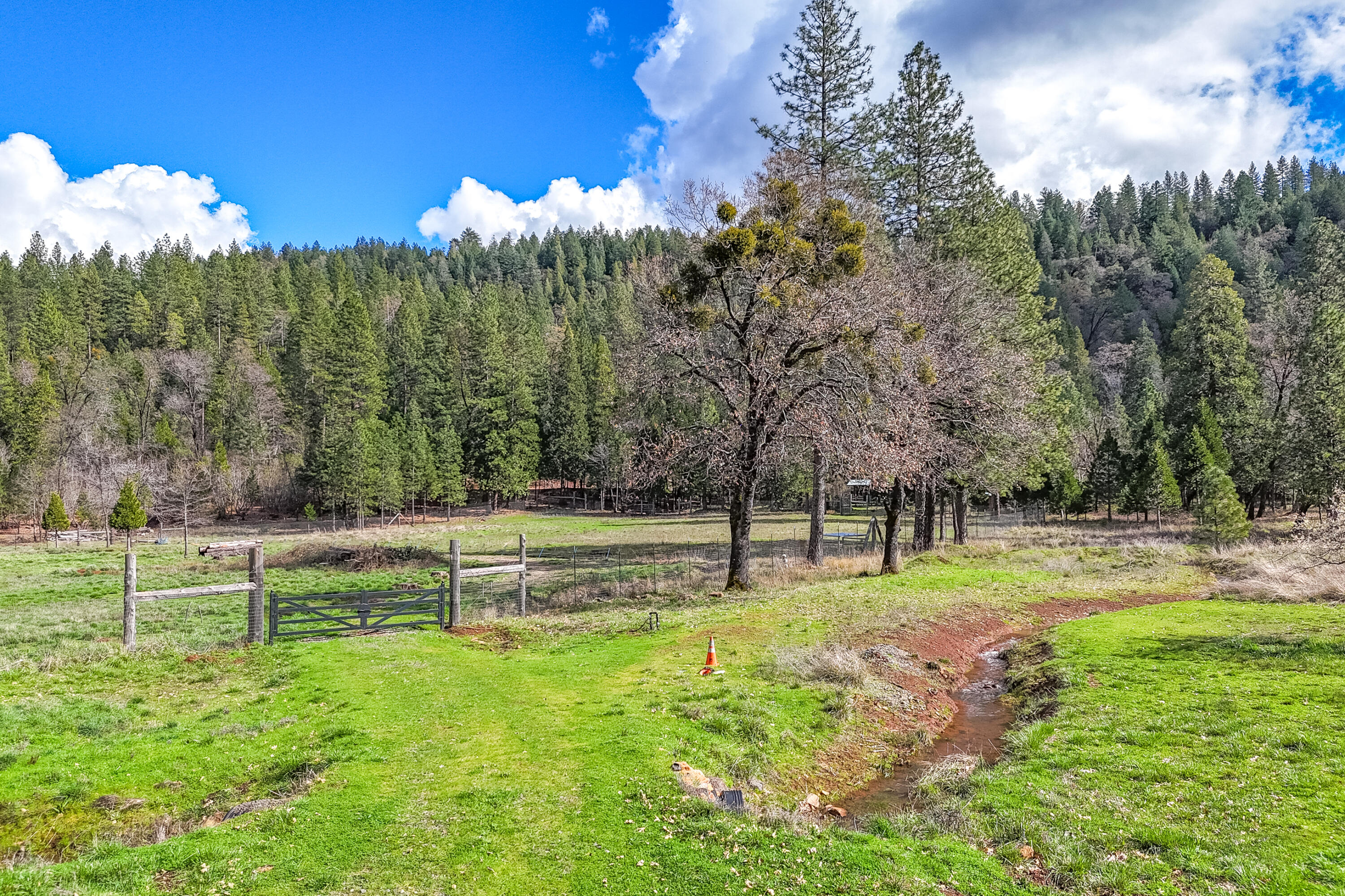 main property photo 104