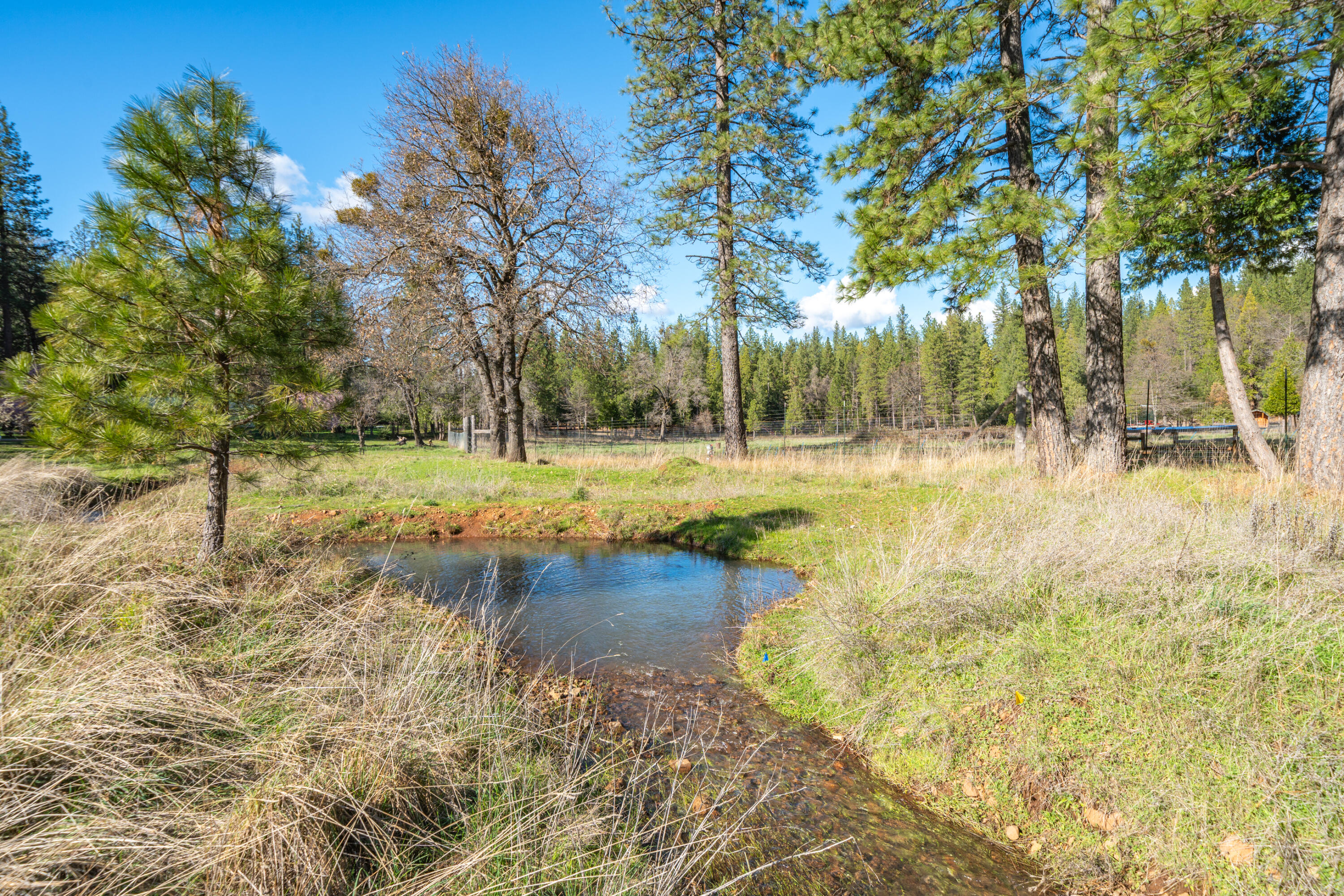 main property photo 106