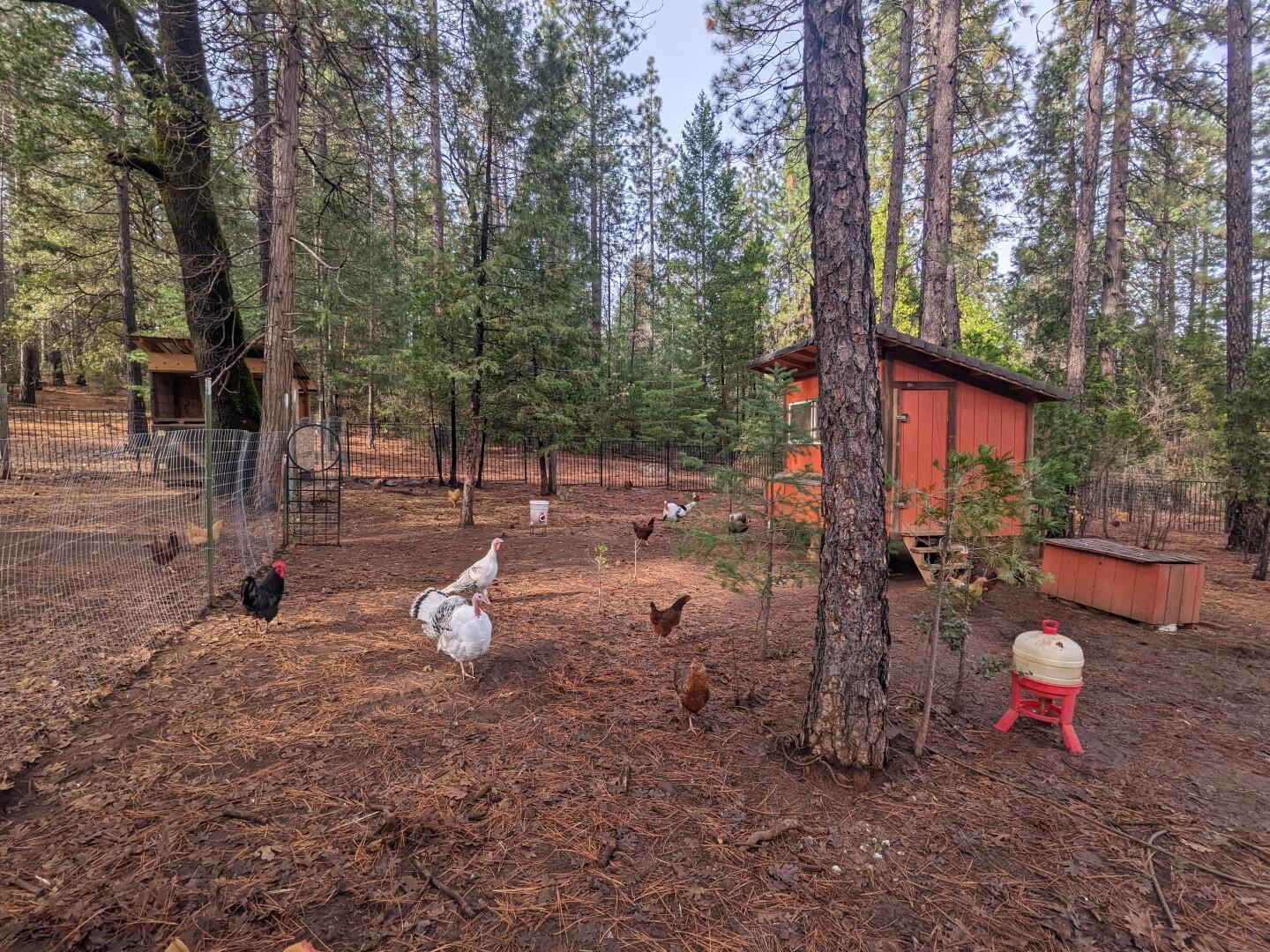 main property photo 60