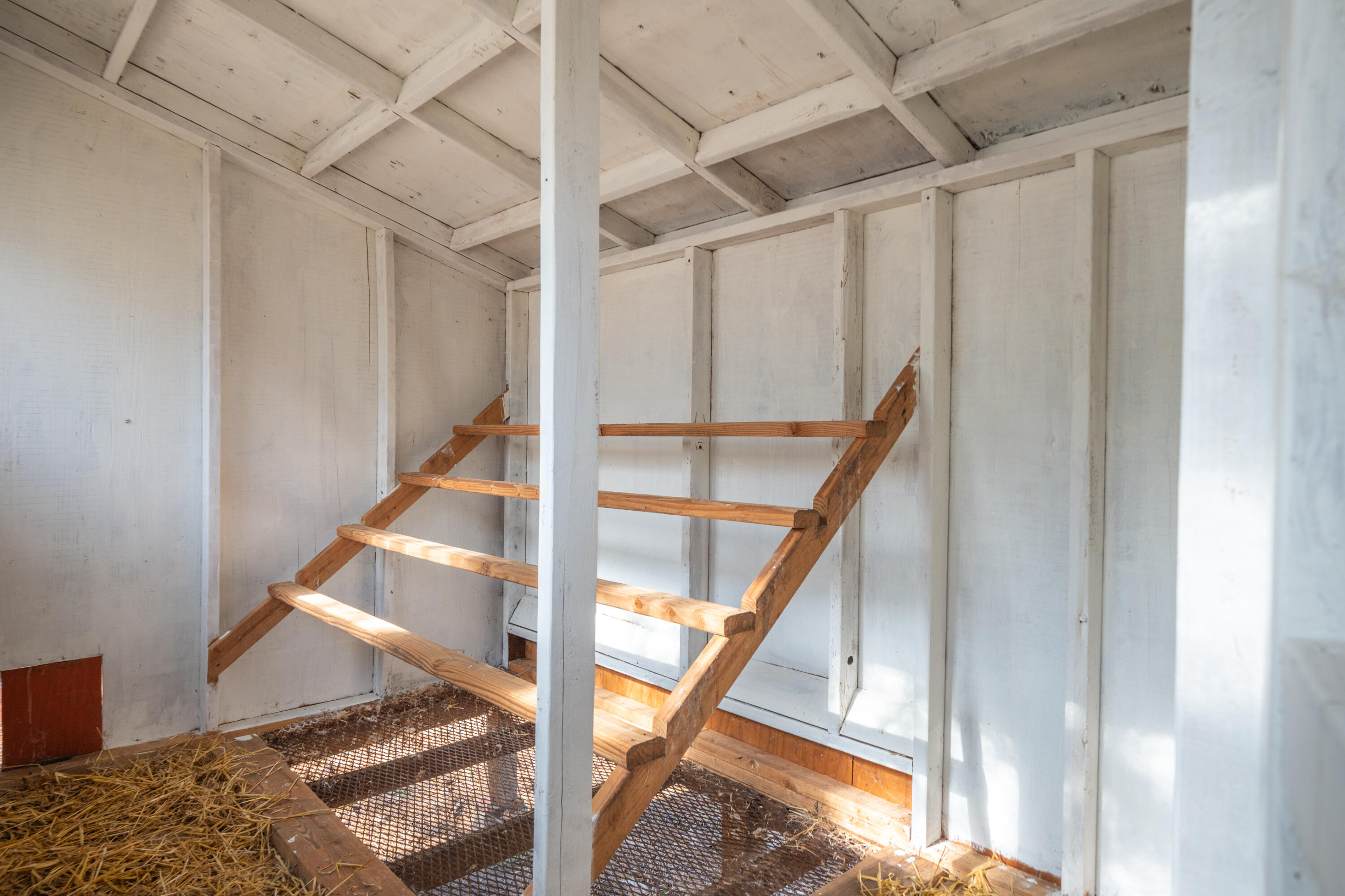 main property photo 62