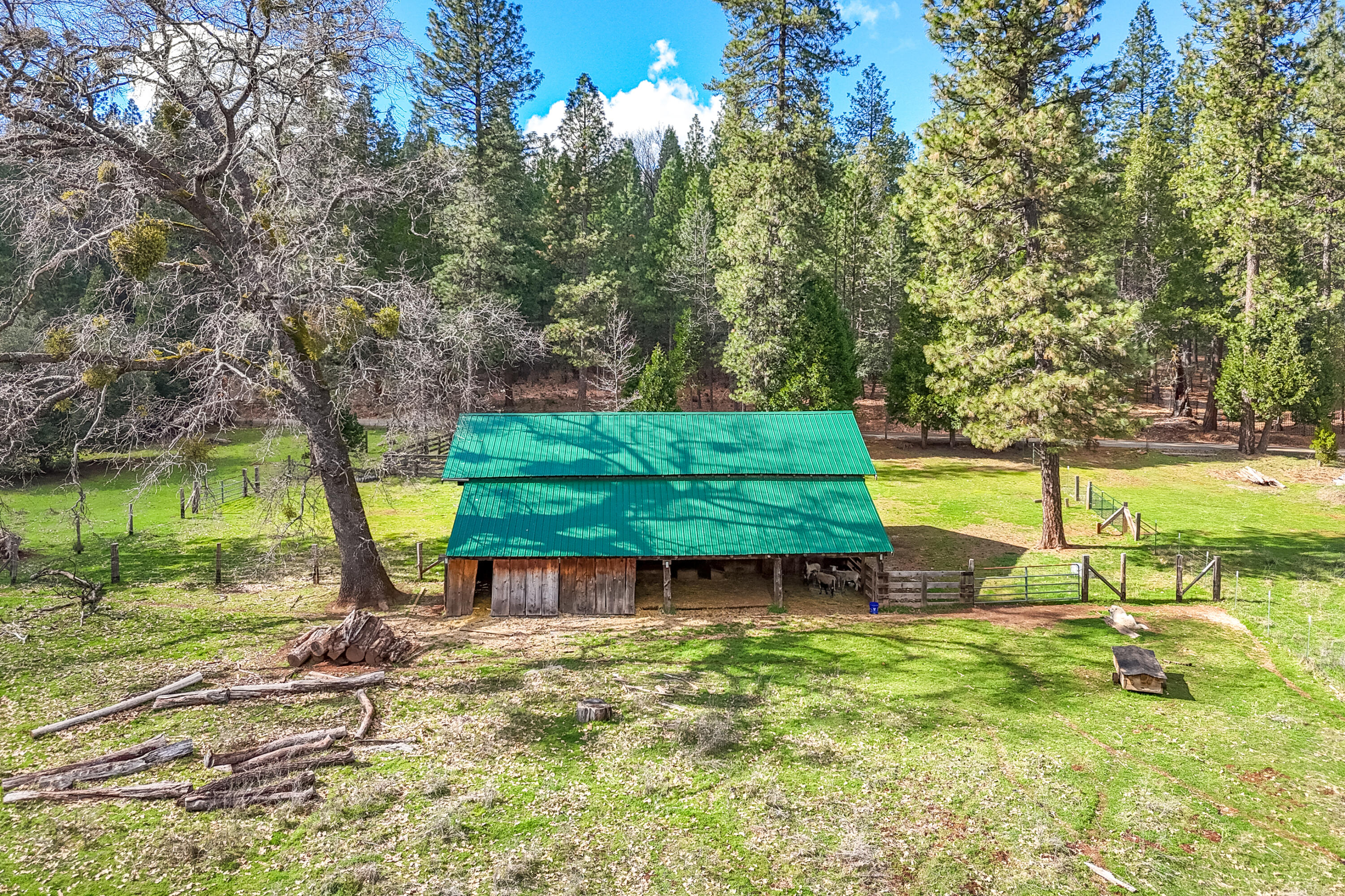 main property photo 71