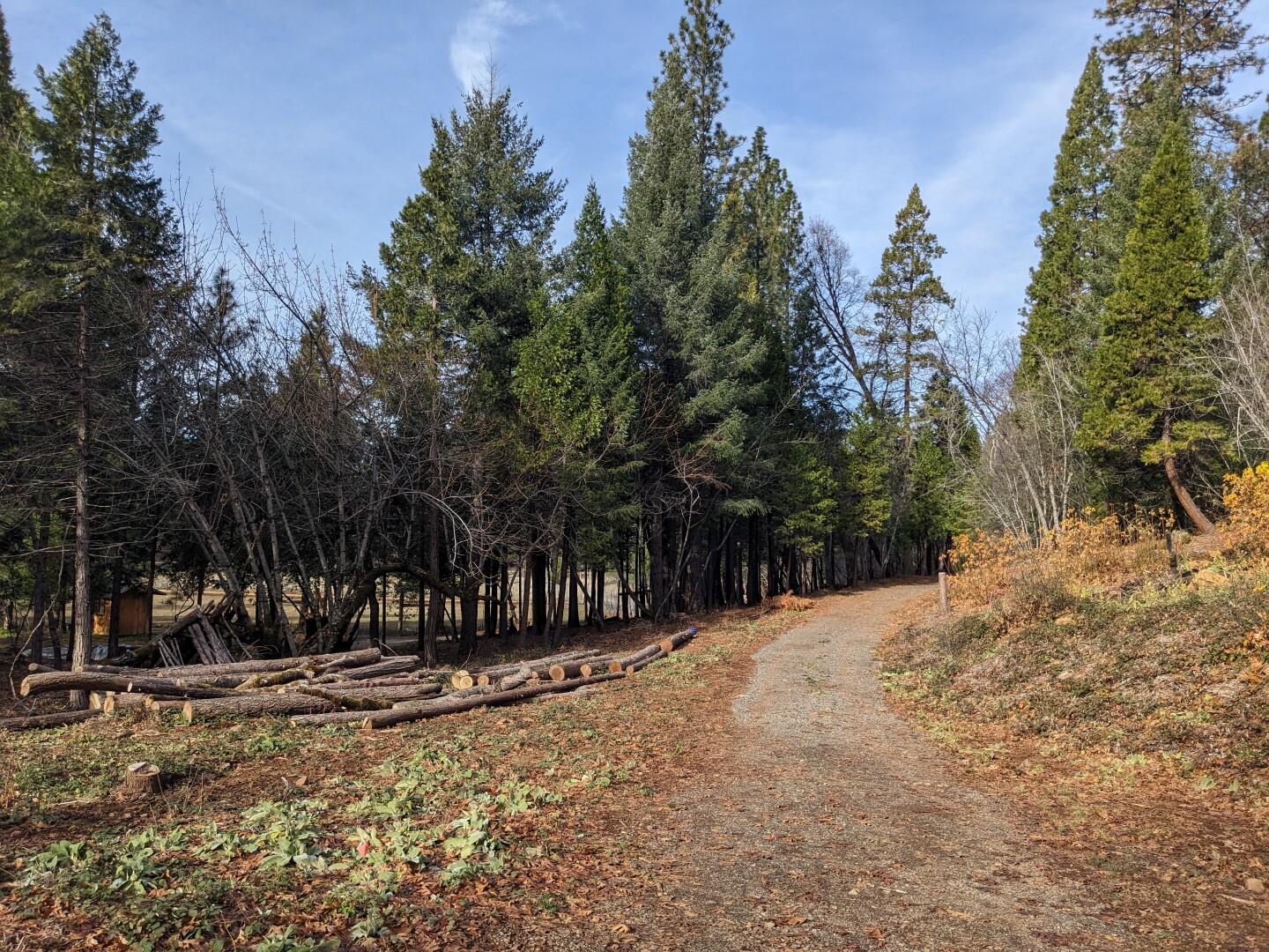 main property photo 78