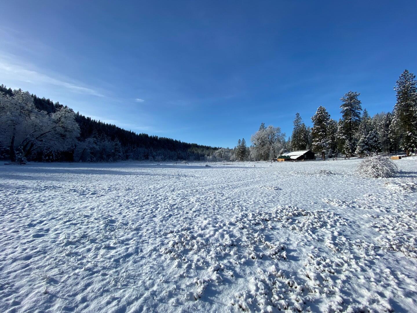 main property photo 80