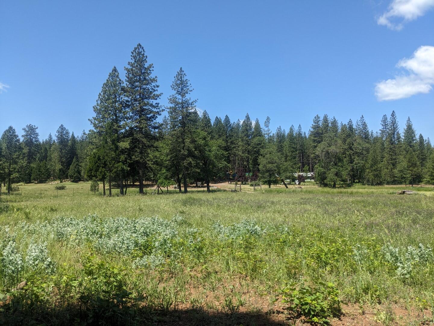 main property photo 82