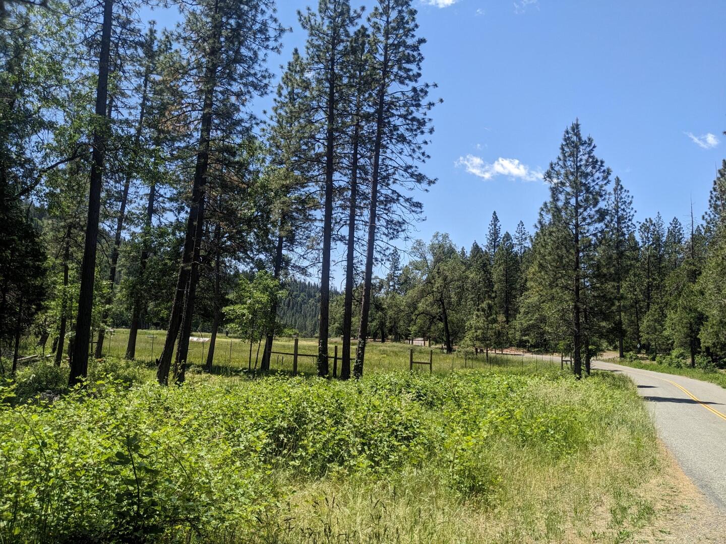 main property photo 97